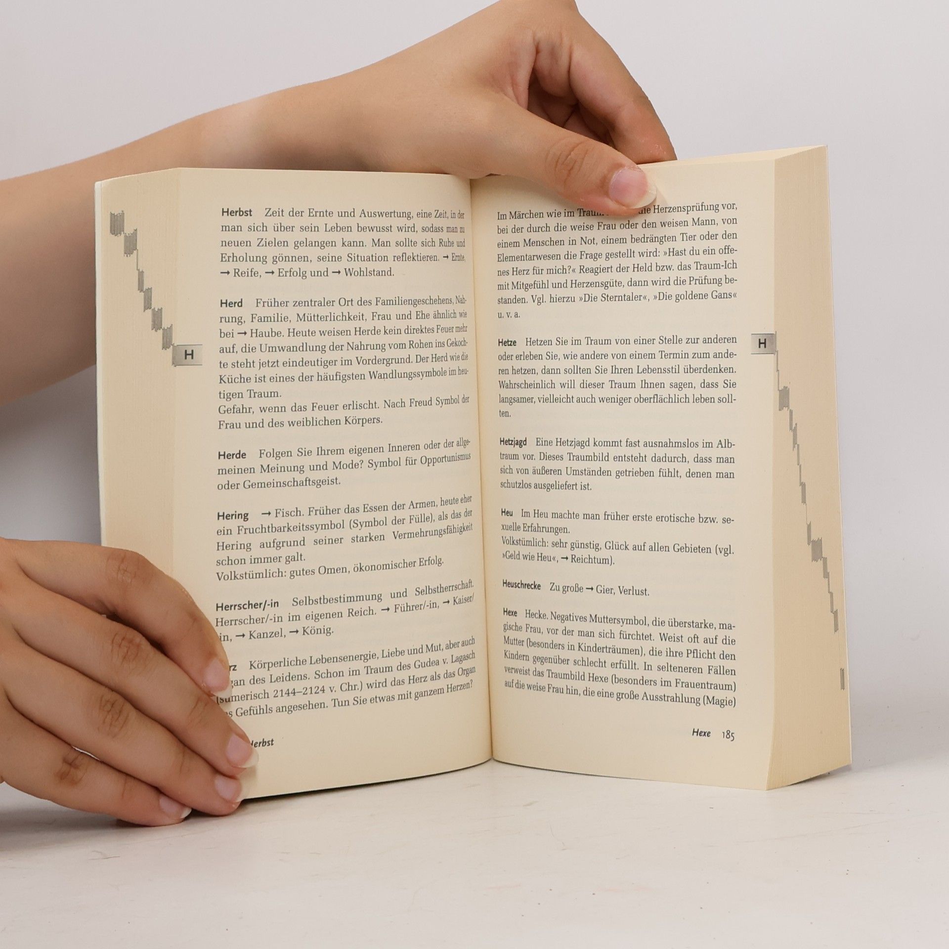 Klausbernd Vollmar Handbuch der Traum-Symbole