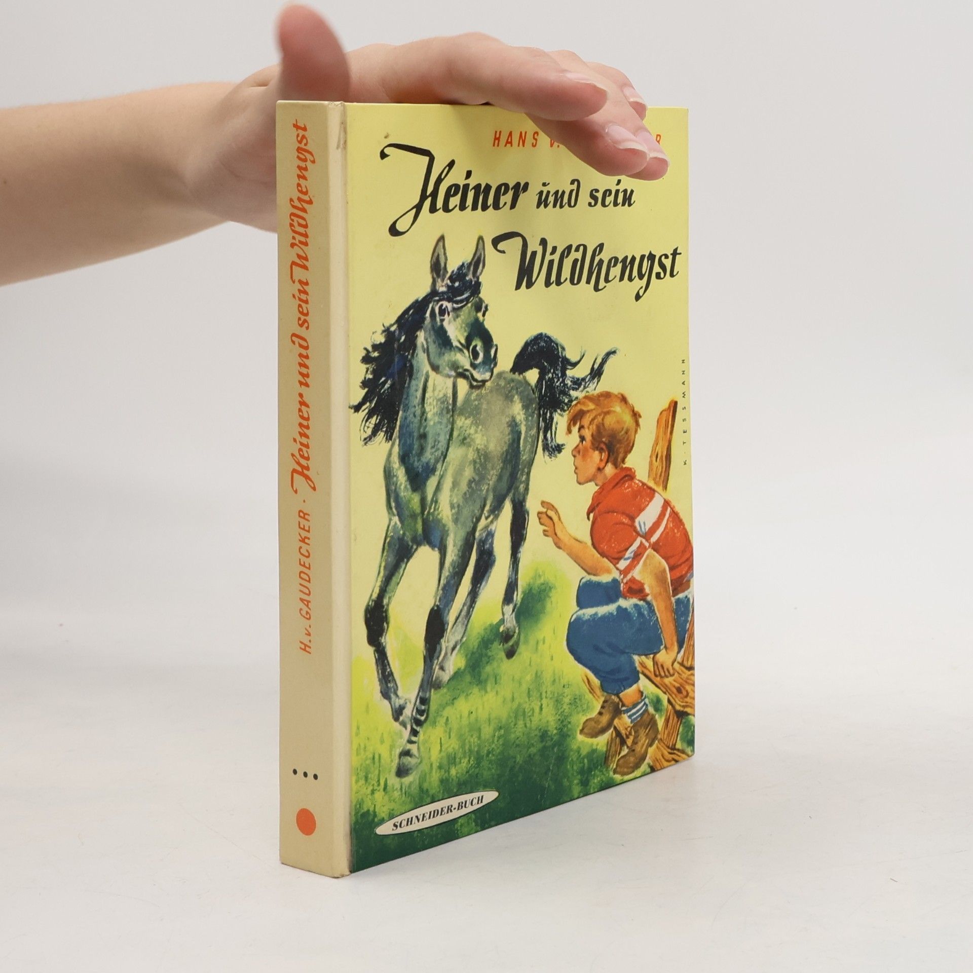 Heiner Und Sein Wildhengst