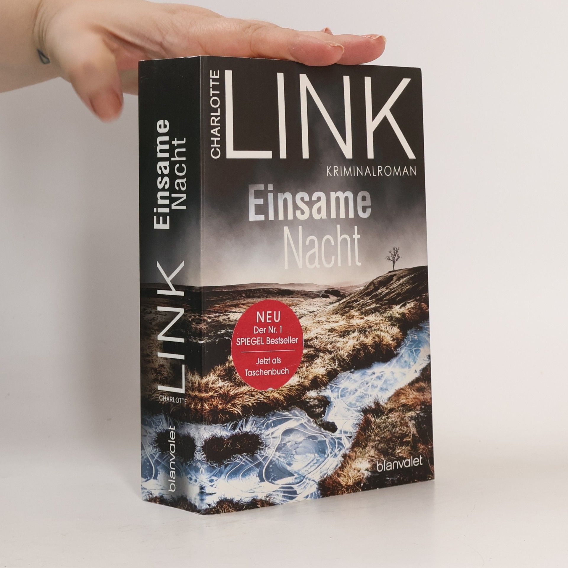 Charlotte Link Einsame Nacht