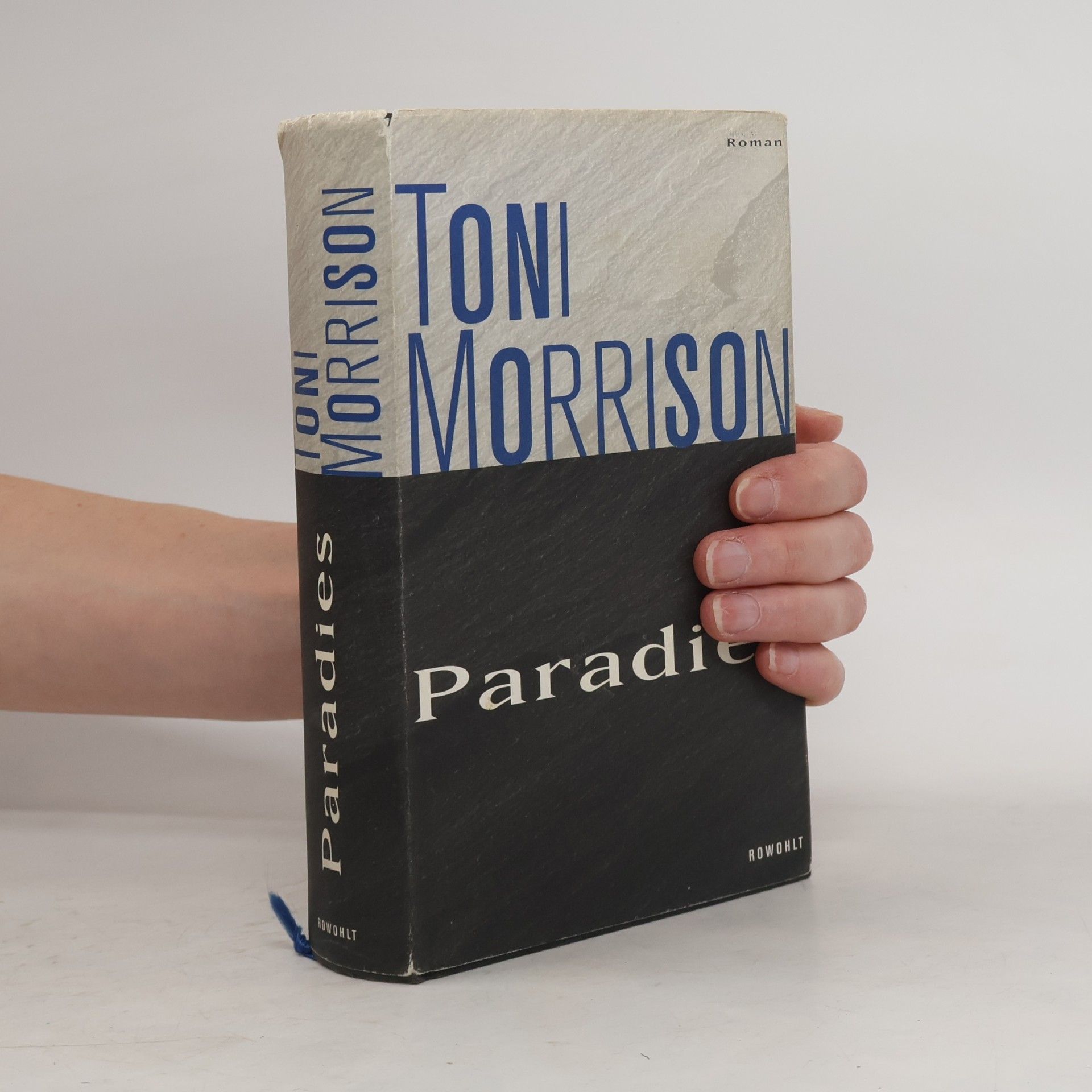 Toni Morrison Paradies