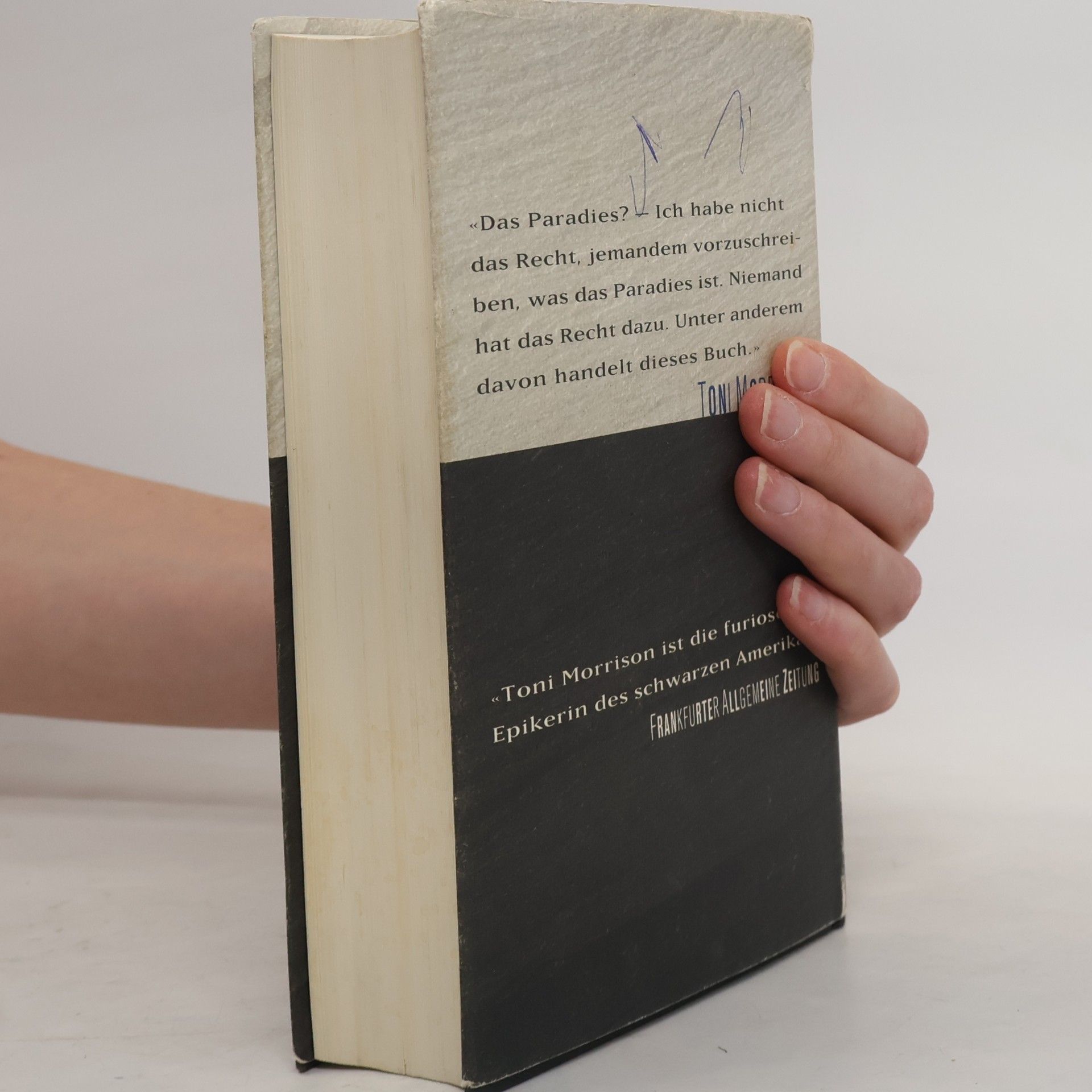 Toni Morrison Paradies