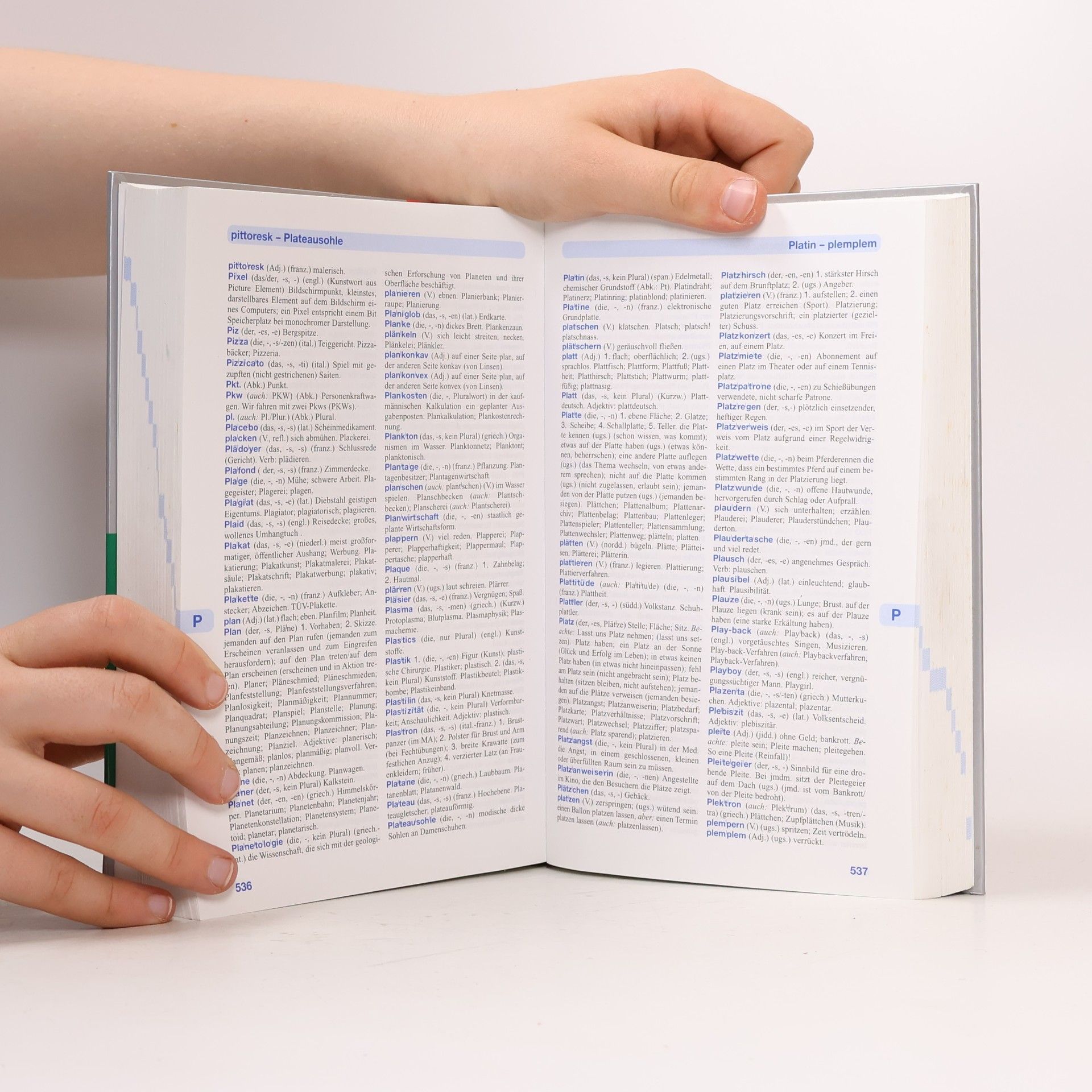 Silver Line: Großes Wörterbuch Deutsch Rechtschreibung