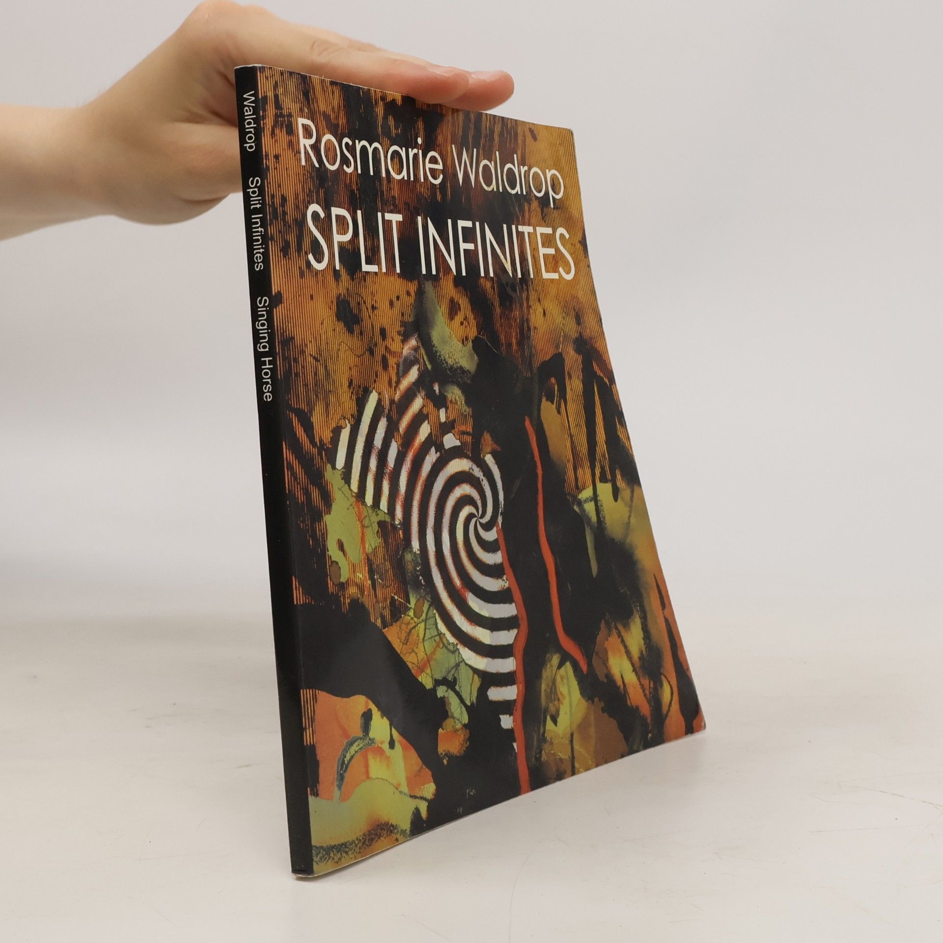 Rosmarie Waldrop Split Infinities
