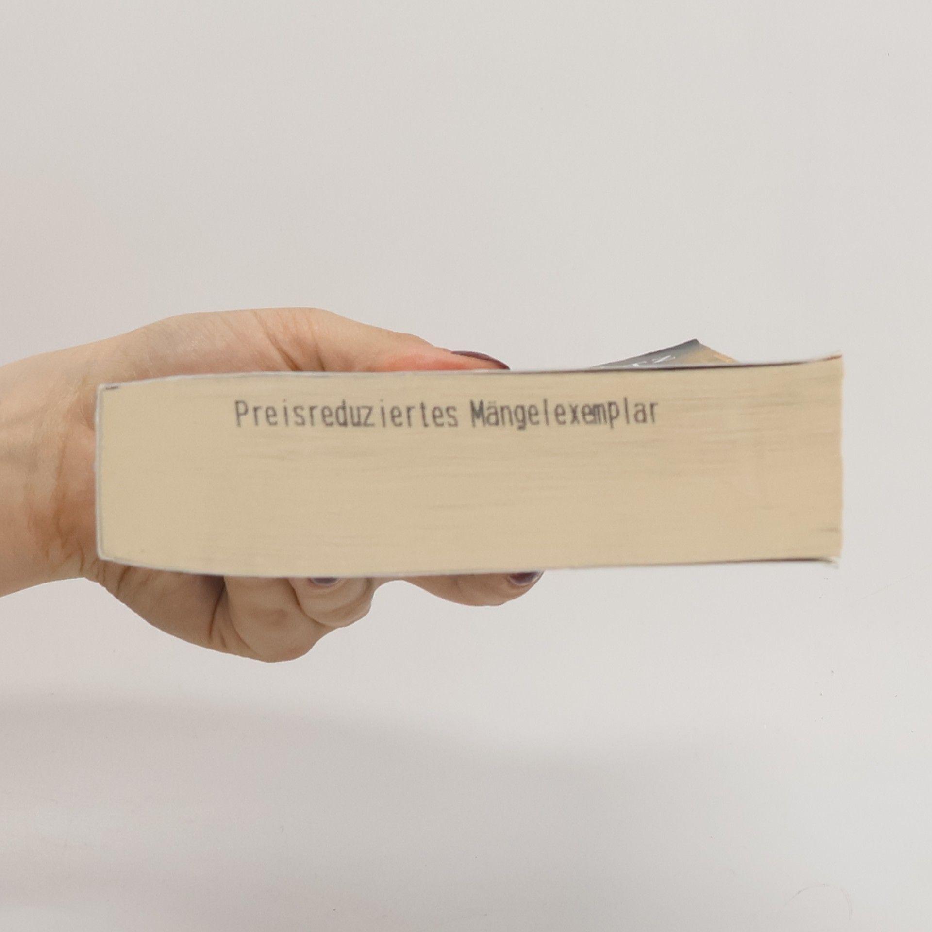 Iny Lorentz Der Fluch der Rose