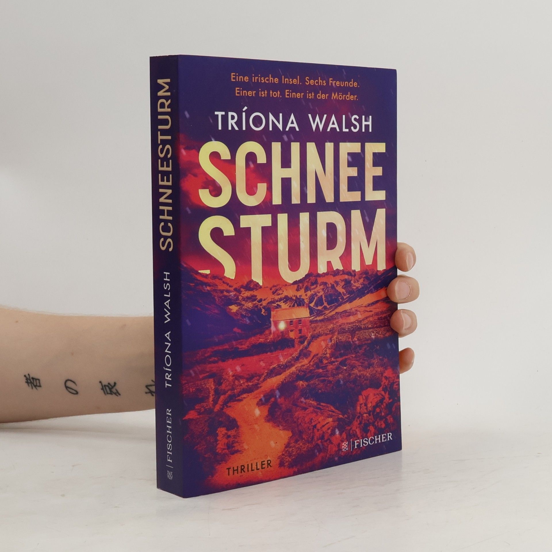 Tríona Walsh Schneesturm