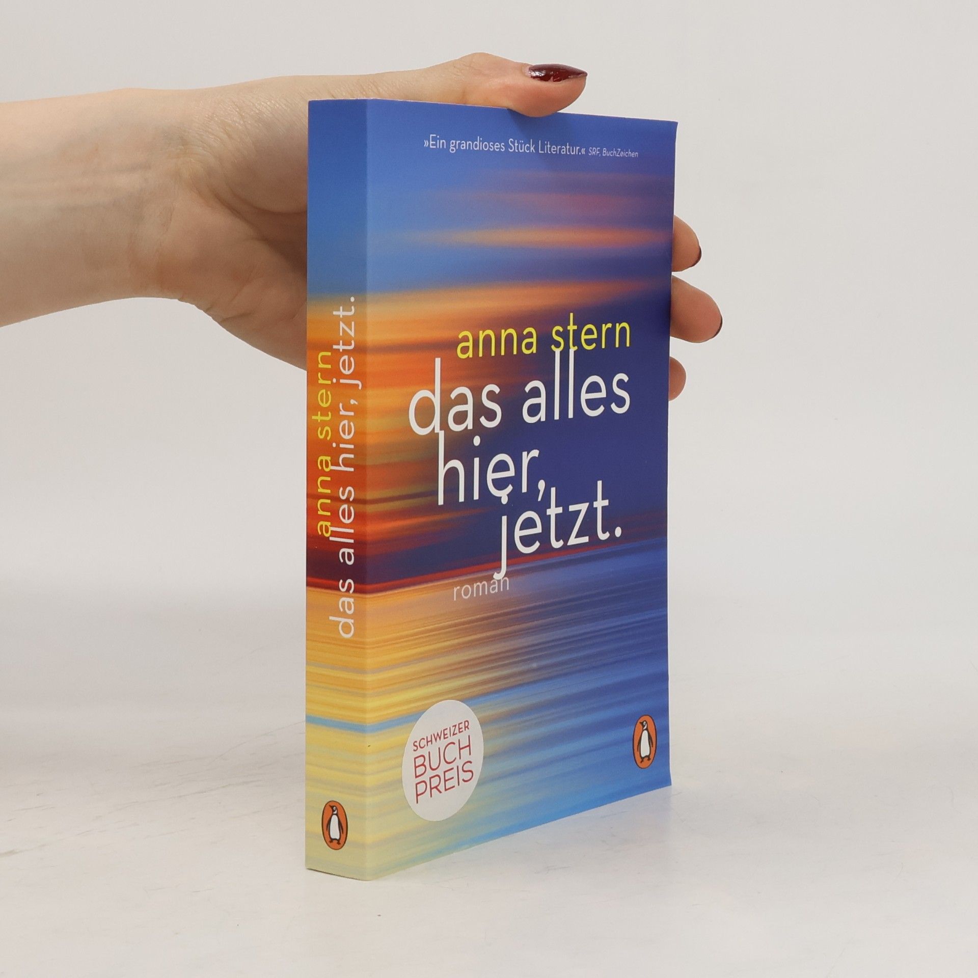 Anna Stern Das alles hier, jetzt