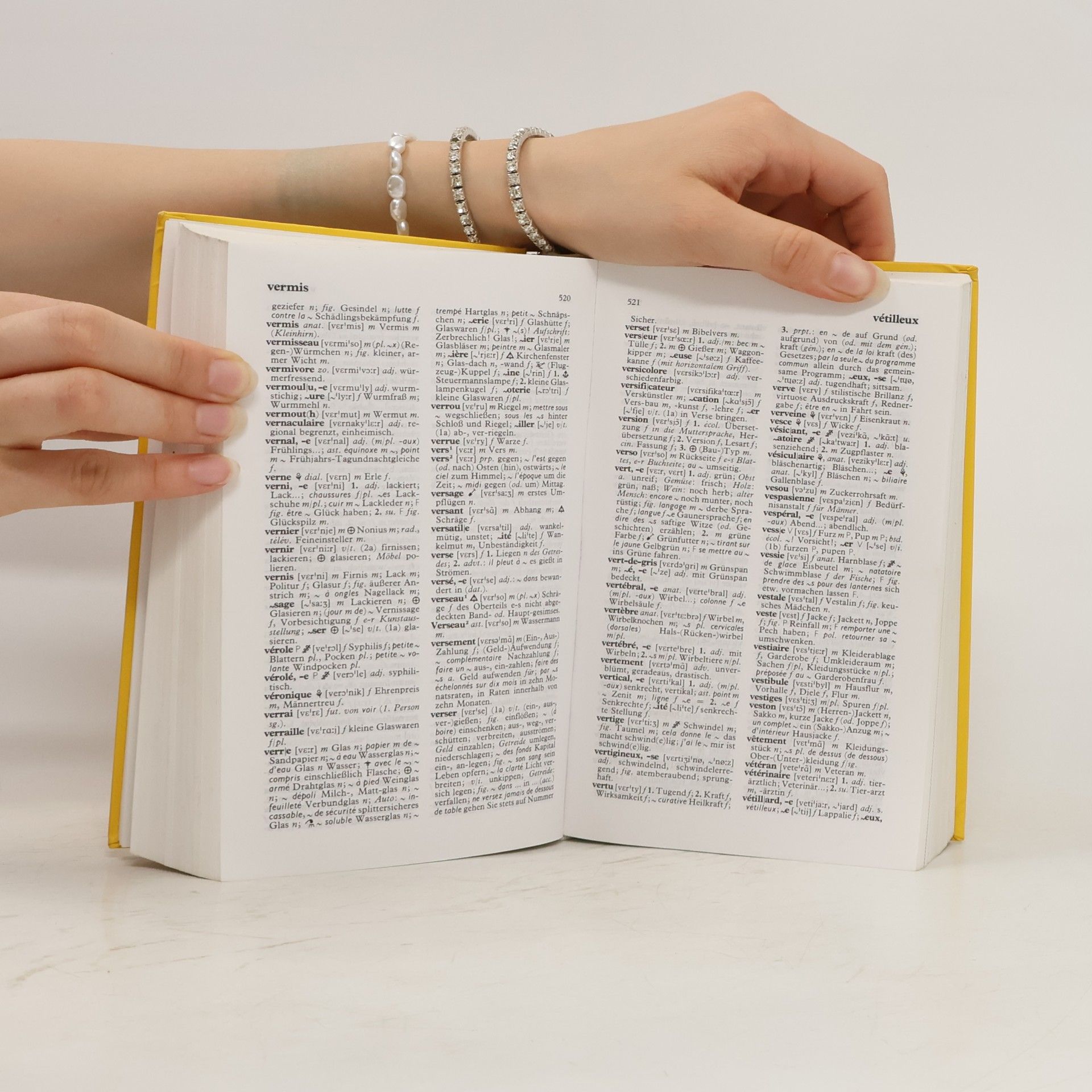 Autorenkollektiv Langenscheidt Wörterbuch Französisch-Deutsch