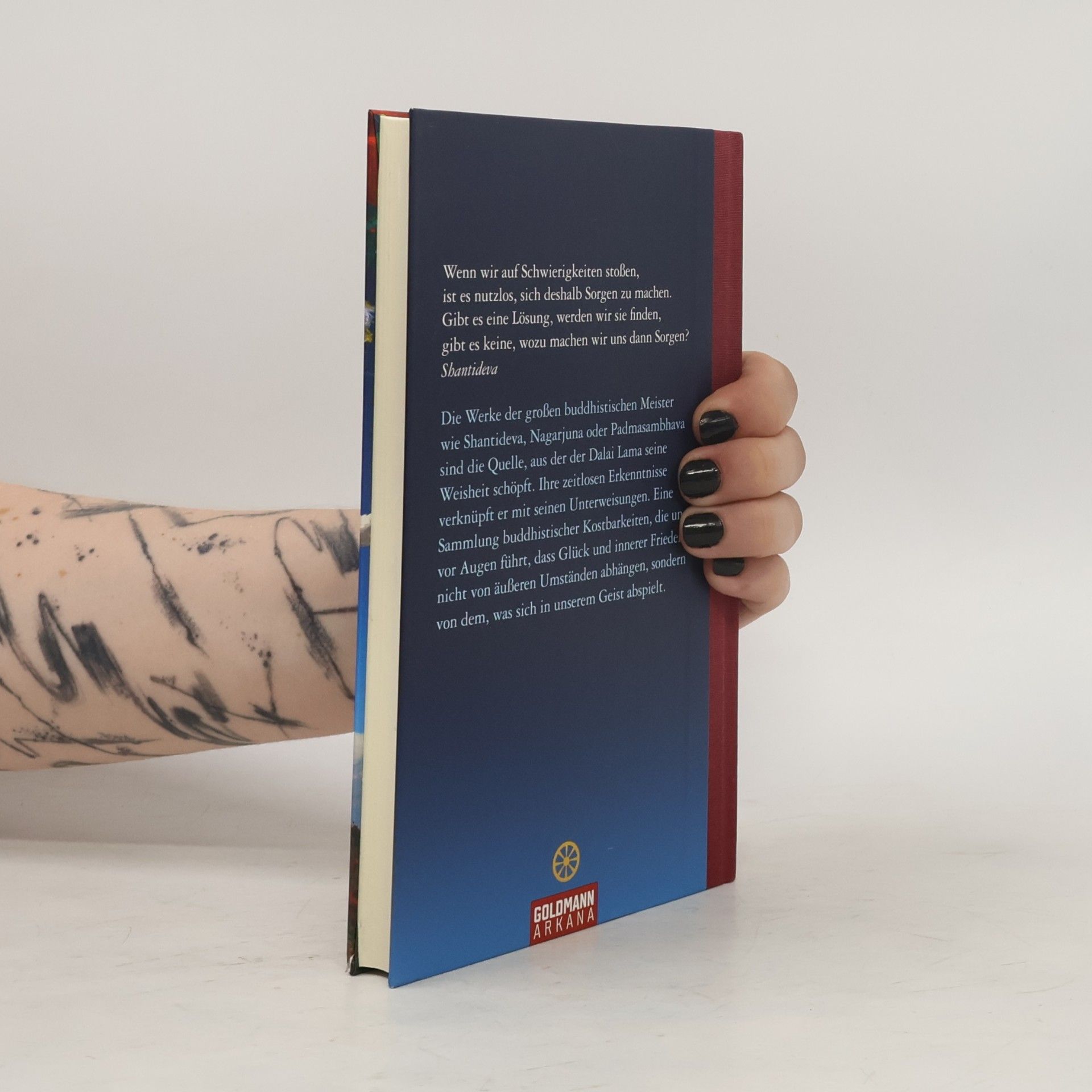 Dalai Lama XIV. Ratschläge für ein erfülltes Leben. Dalai Lama & seine tibetischen Meister
