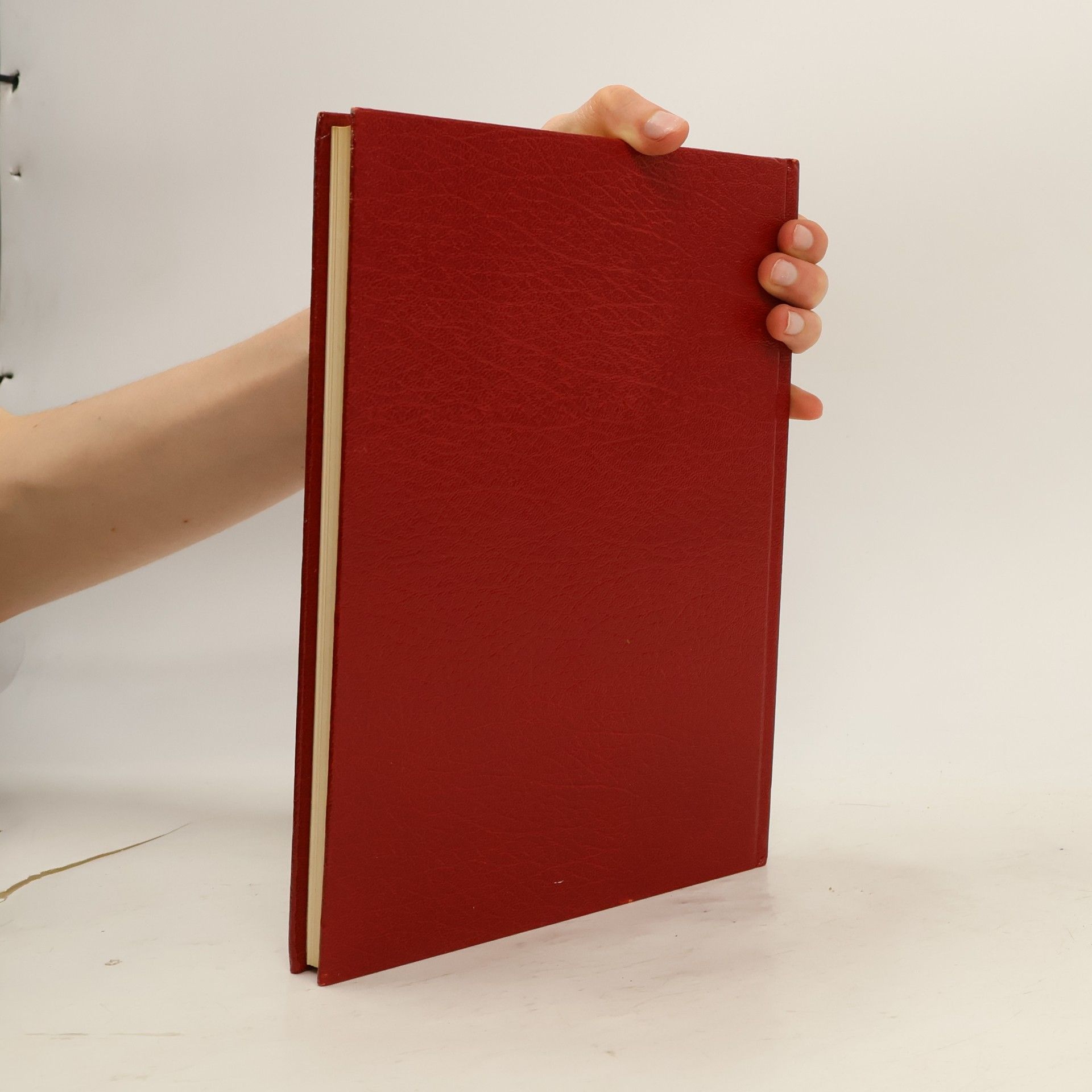 Various authors Die 100 berühmtesten Rezepte der Welt