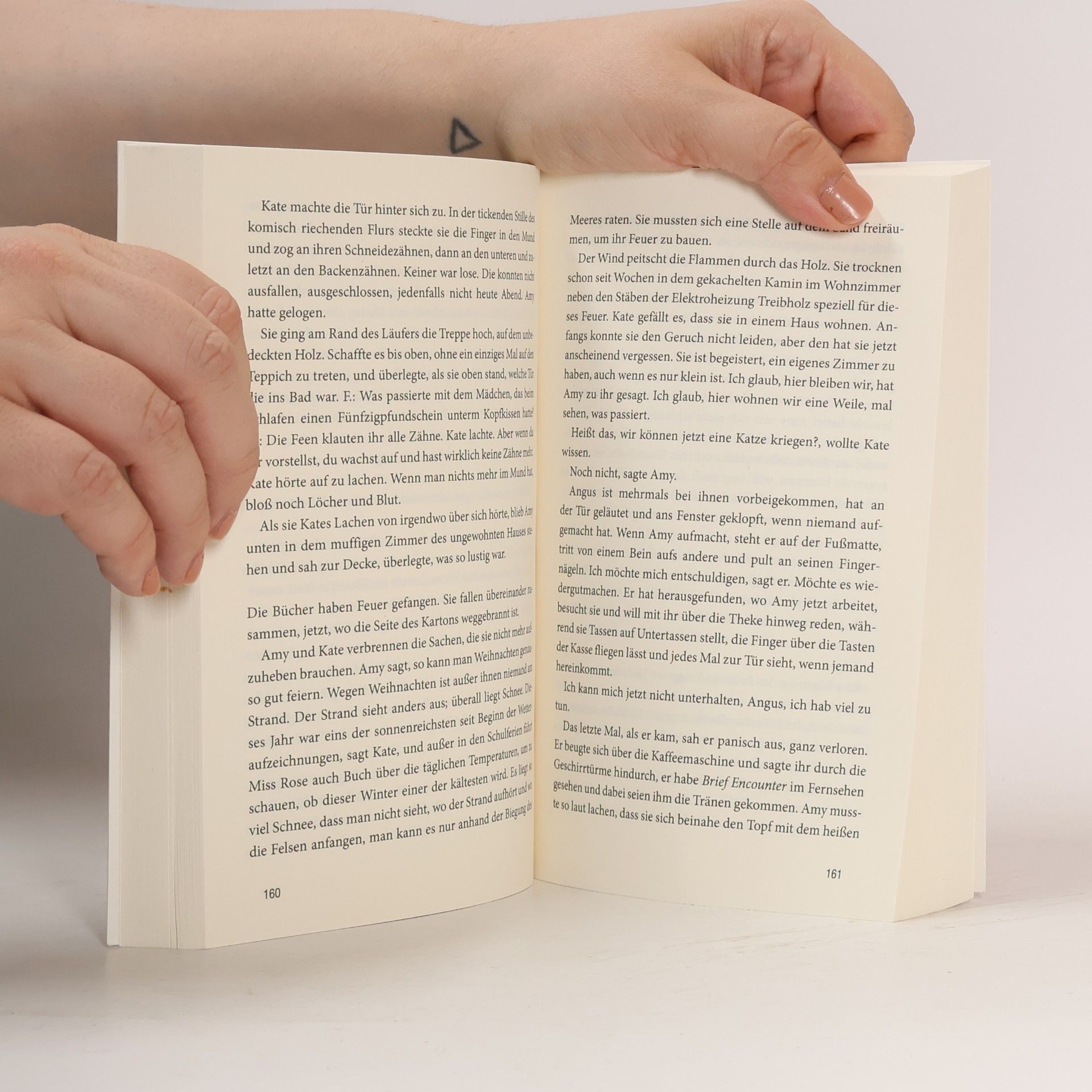 Ali Smith Von Gleich zu Gleich