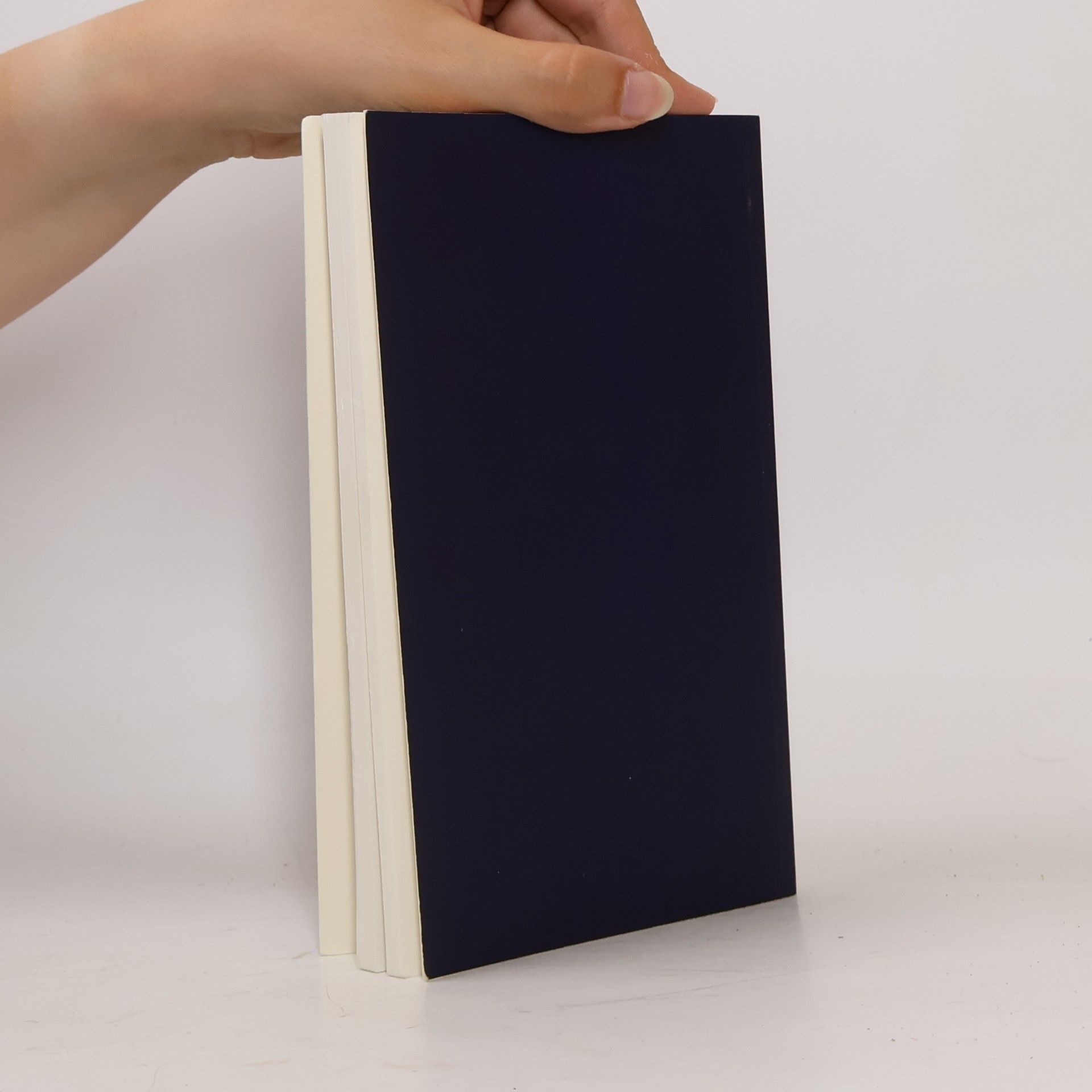 Various authors Die Ergänzungen zu ein Kurs in Wundern