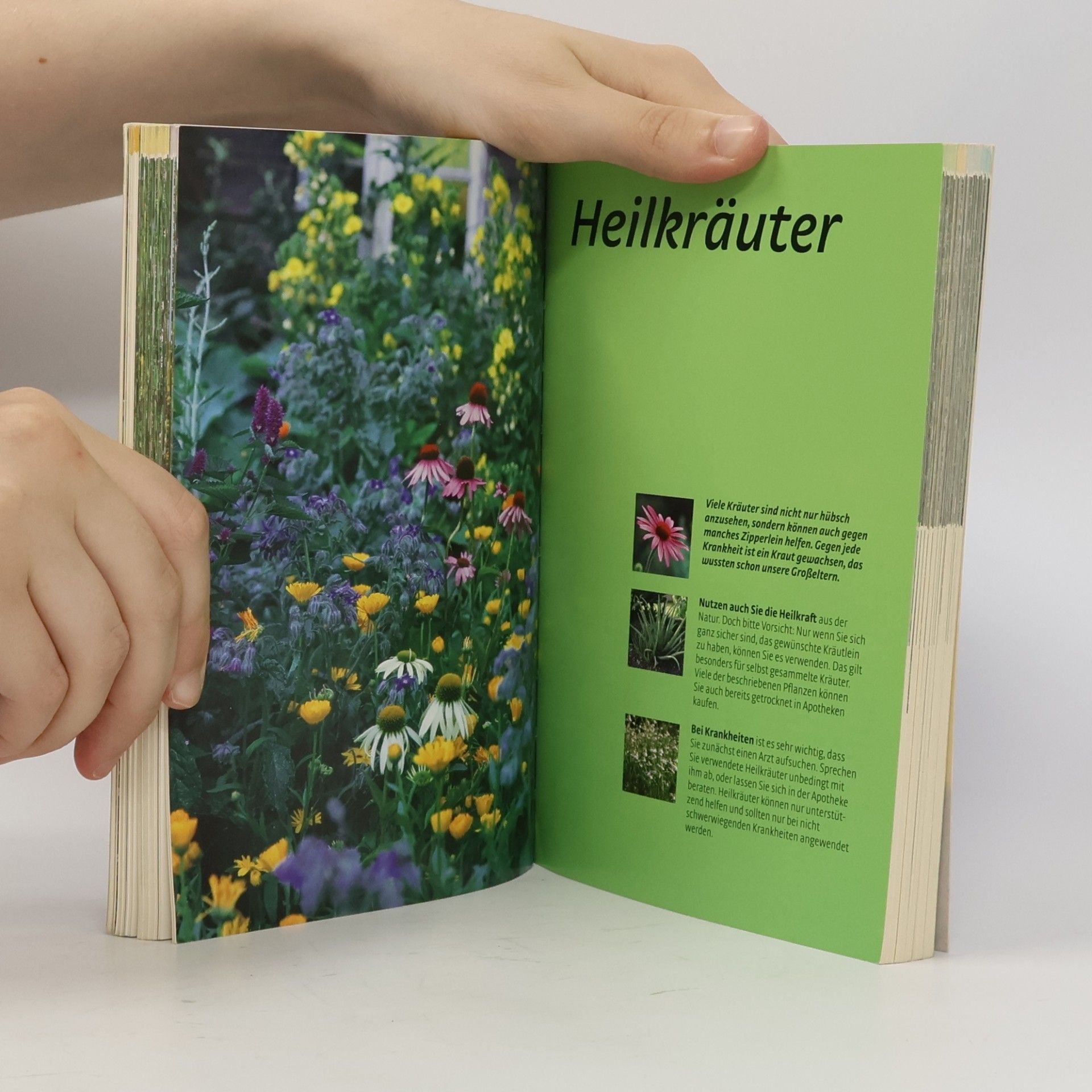 Franz Xaver Treml Kräuter aus dem Garten