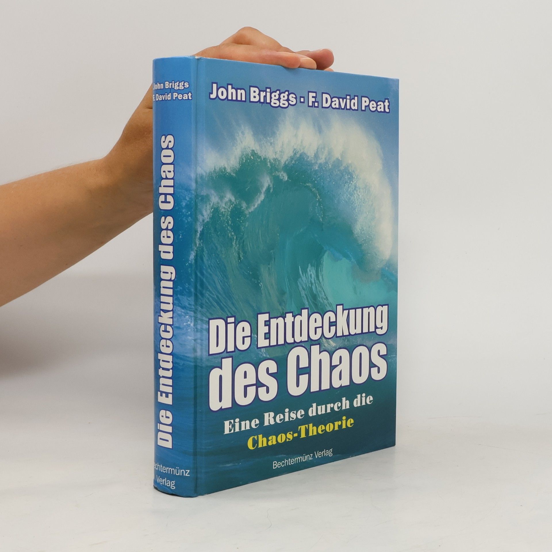 John P. Briggs Die Entdeckung des Chaos