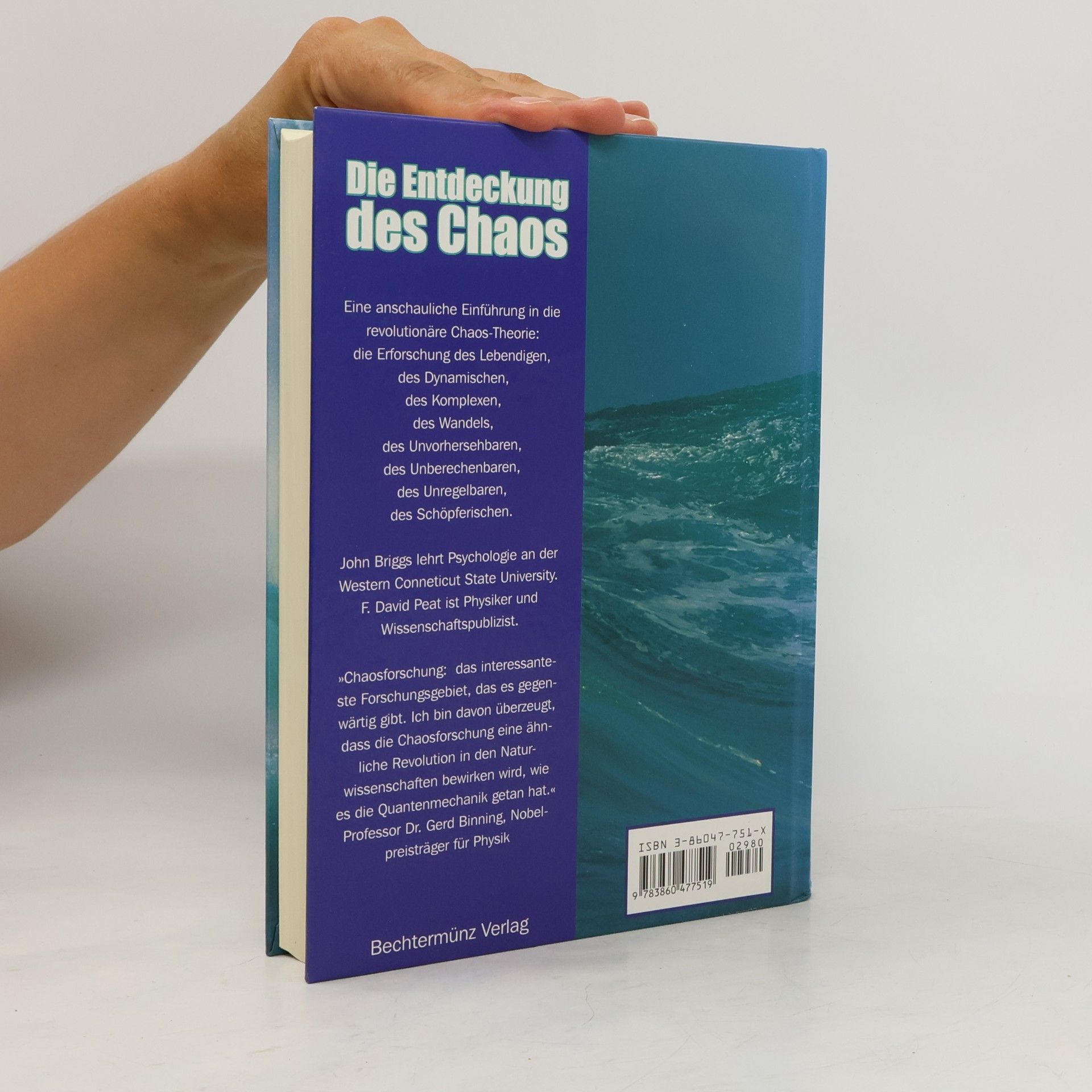 John P. Briggs Die Entdeckung des Chaos