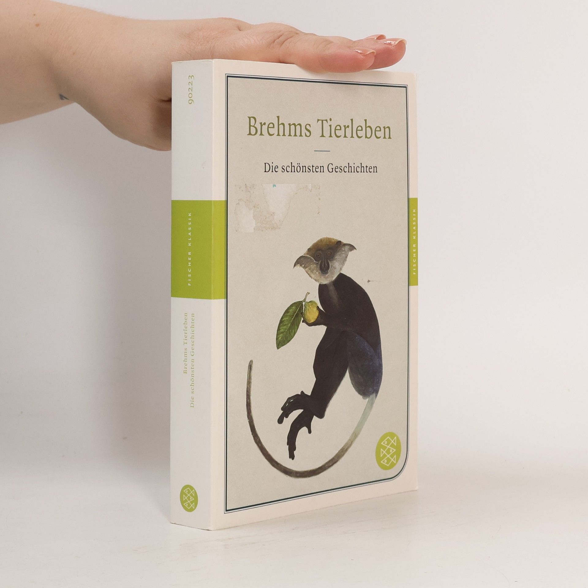 Alfred Edmund Brehm Brehms Tierleben