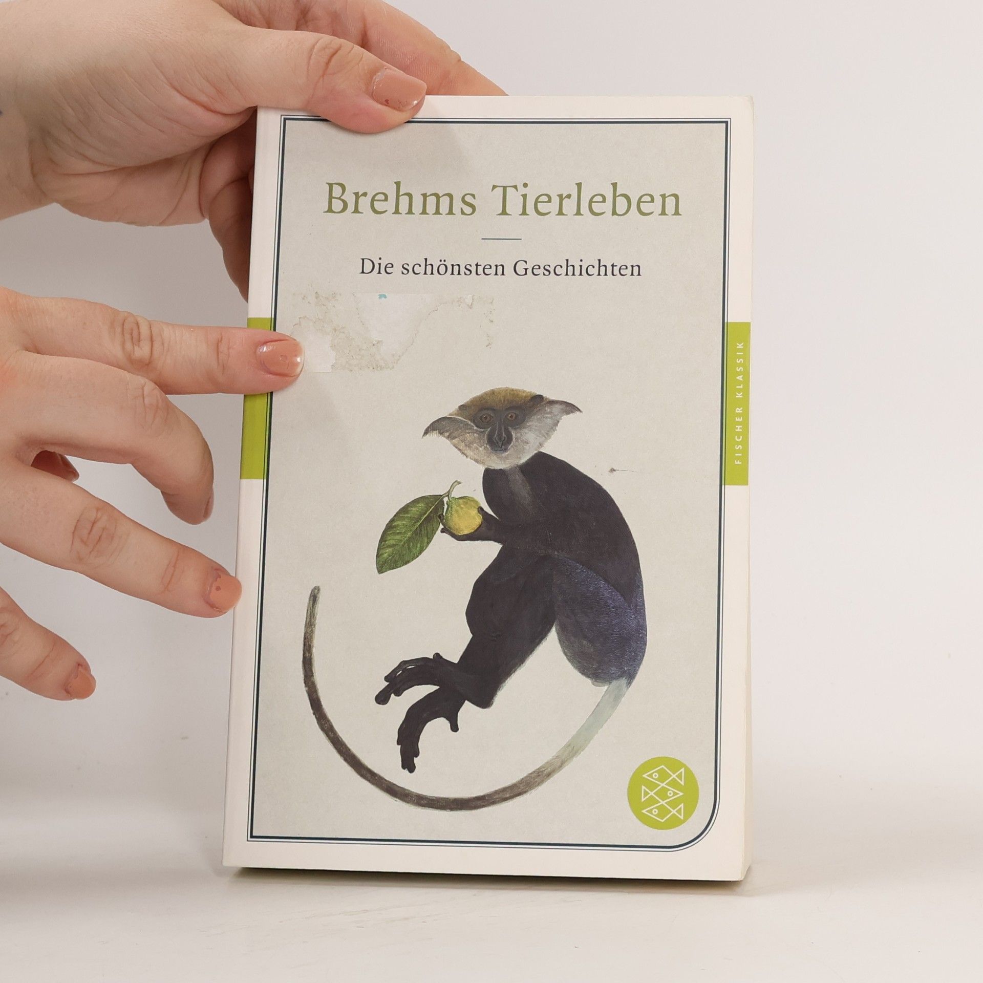Alfred Edmund Brehm Brehms Tierleben