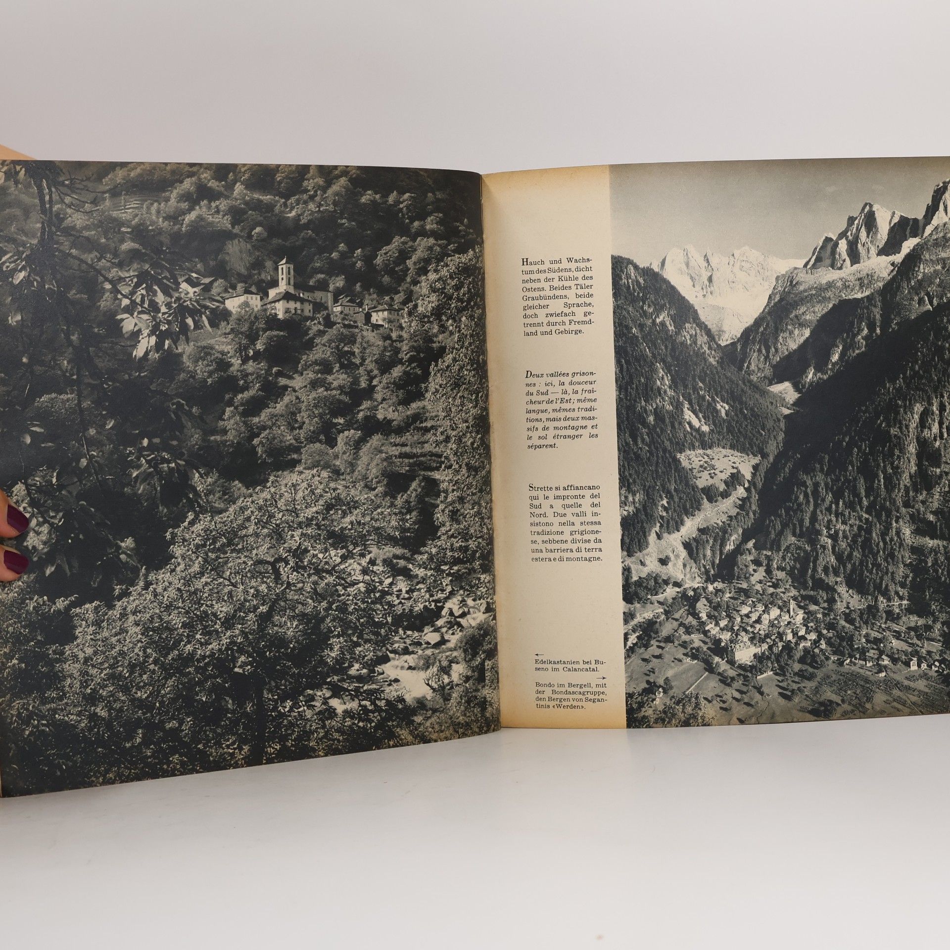 Franz A. Roedelberger Das Heimatbuch