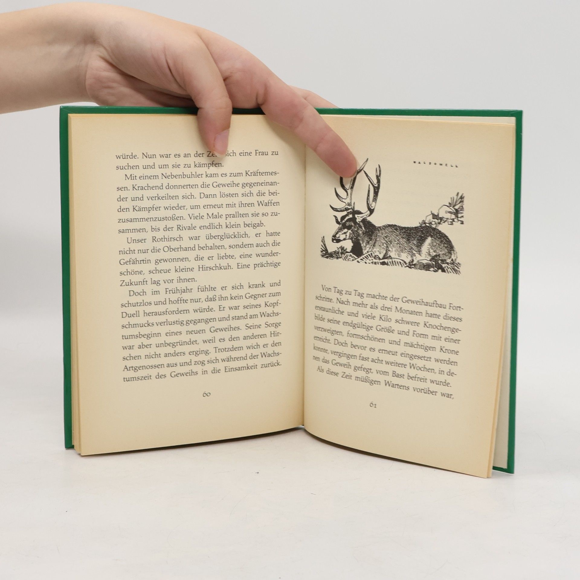Enid Blyton Geheimnisse der Wildnis 9
