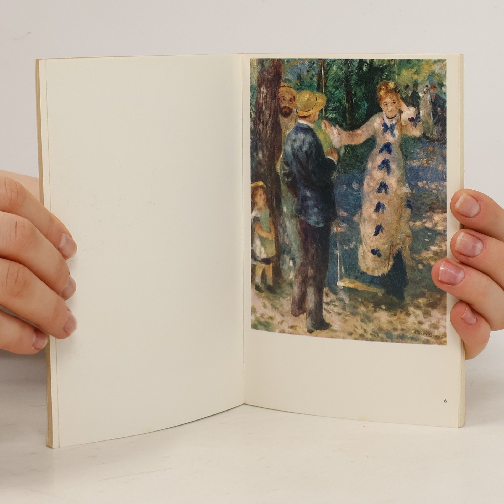 Michel Drucker Renoir