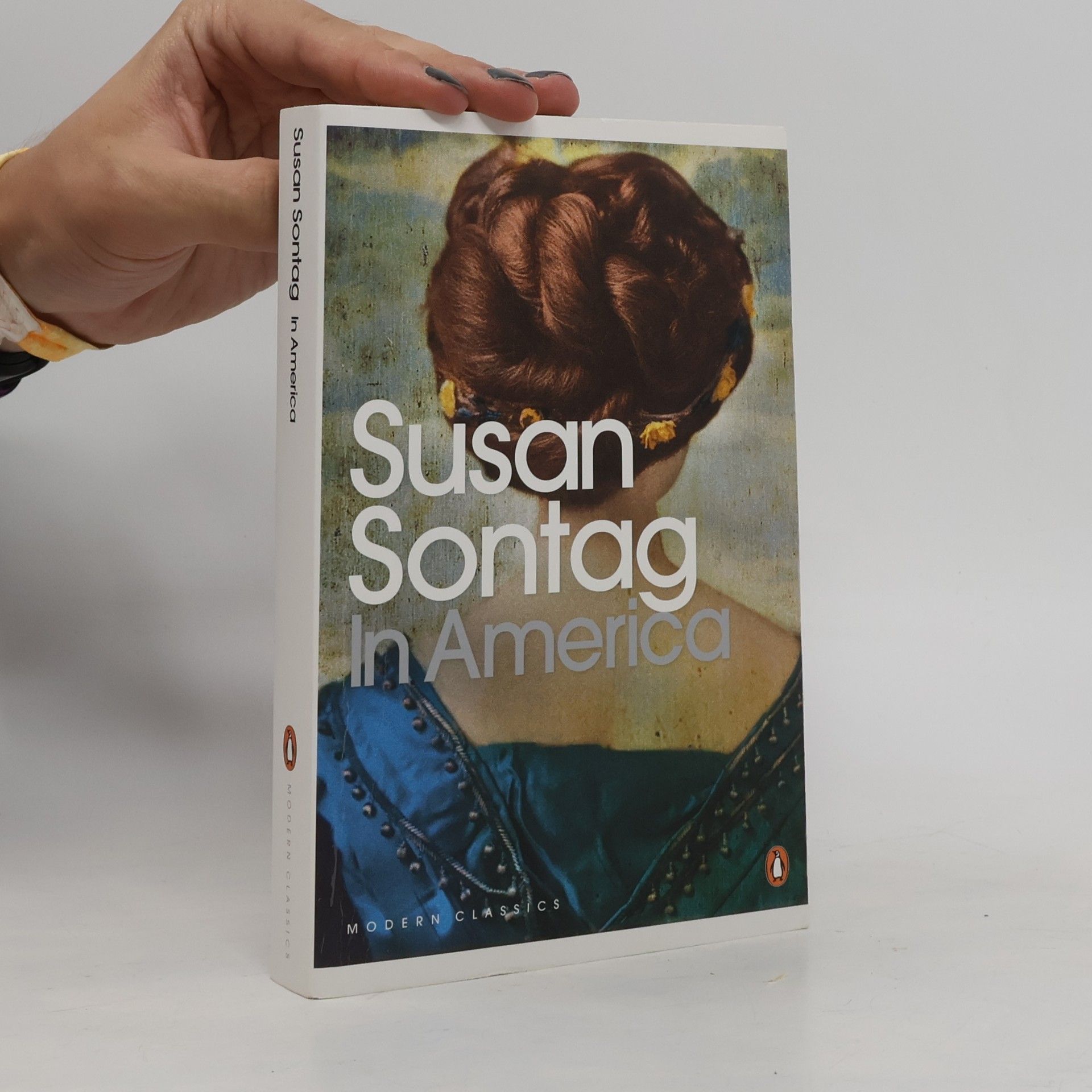 Susan Sontag In America : a novel