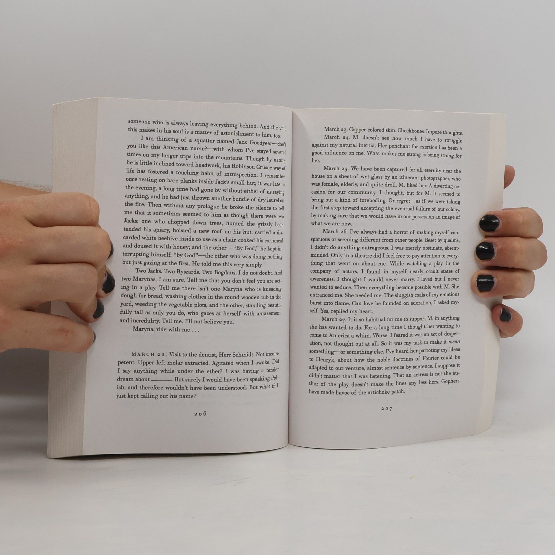 Susan Sontag In America : a novel