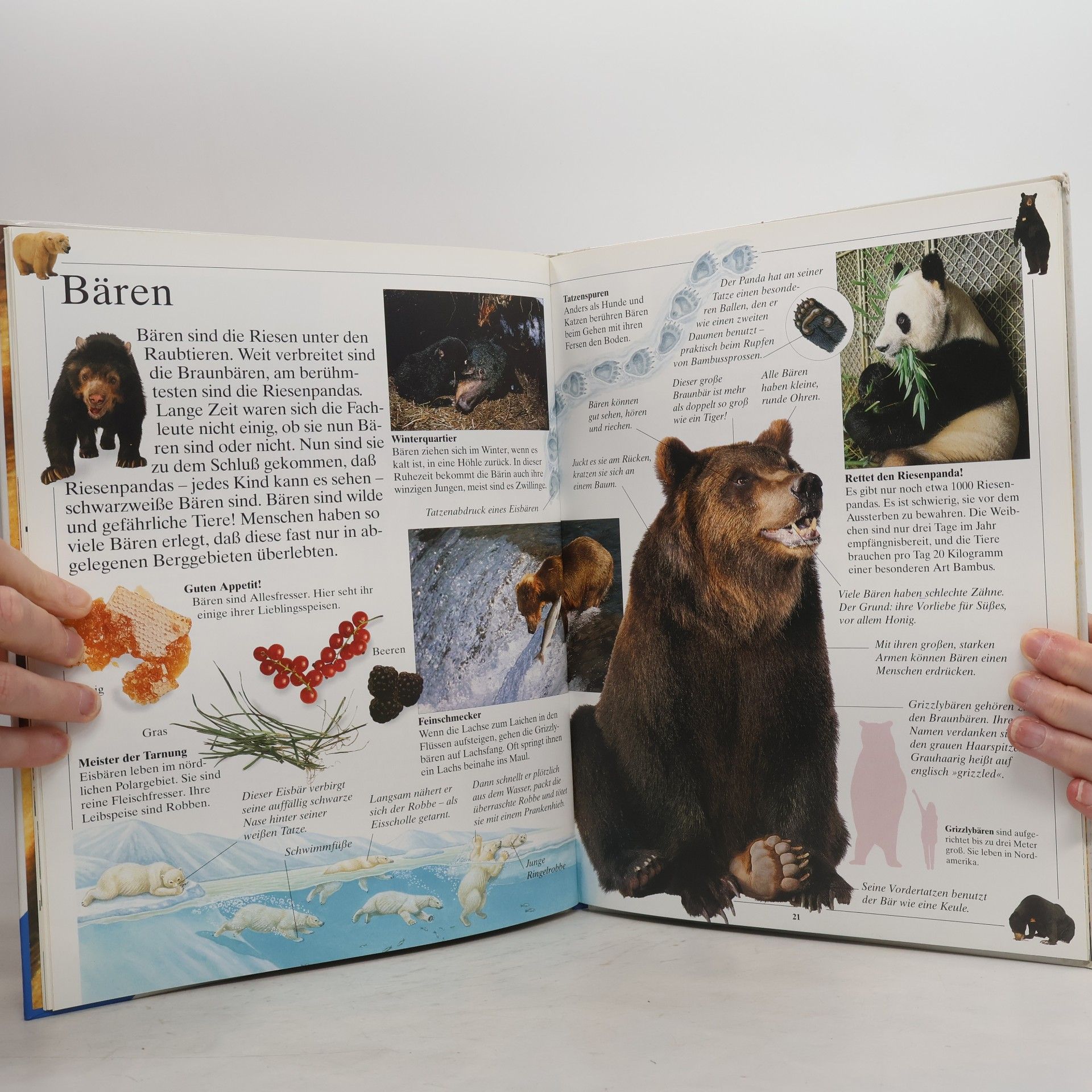 Sibylle Schneider Die Welt der Tiere