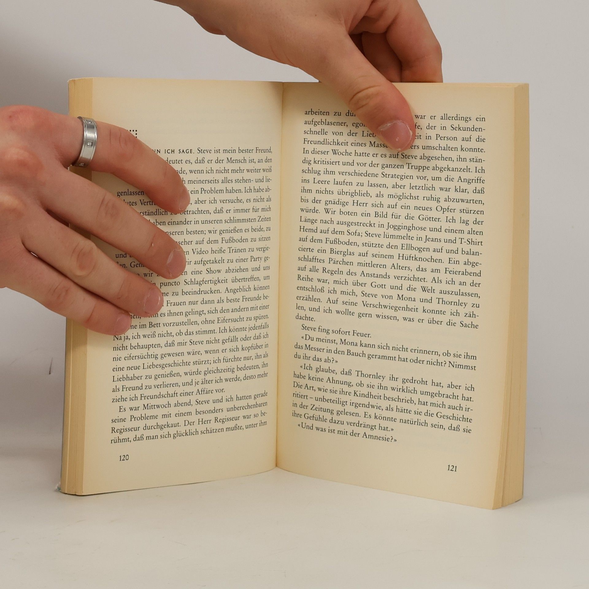 Anne Wilson Das letzte Zeugnis. Roman