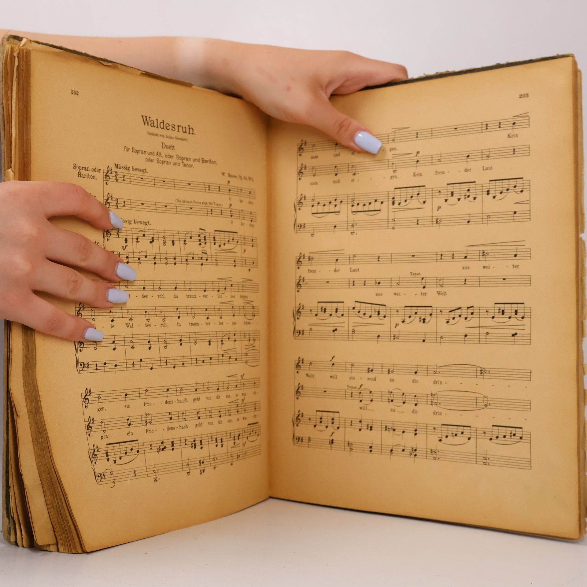 Autorenkollektiv Melodienkranz für das deutsche Haus