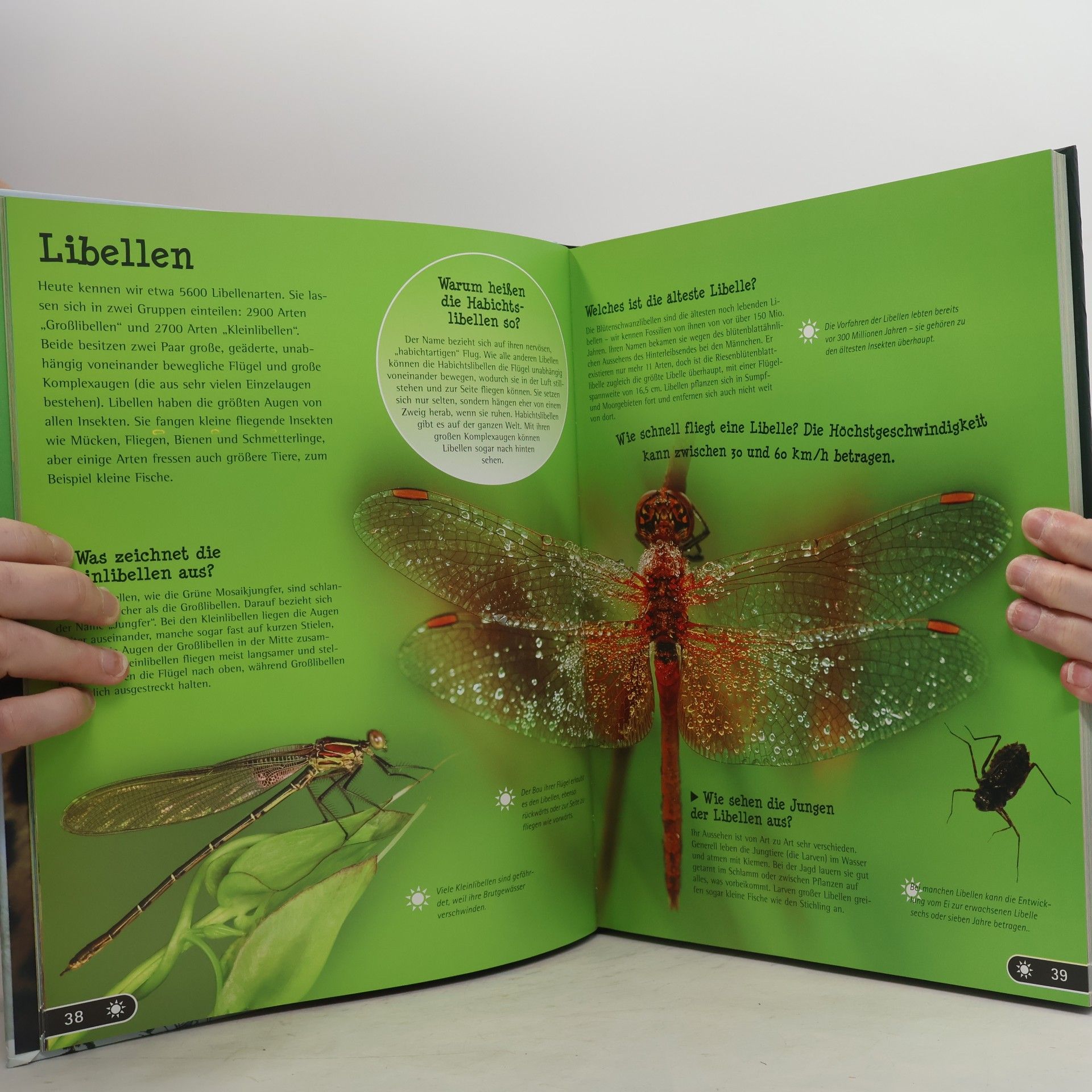 Autorenkollektiv Wissen - Das grosse Buch der Tiere