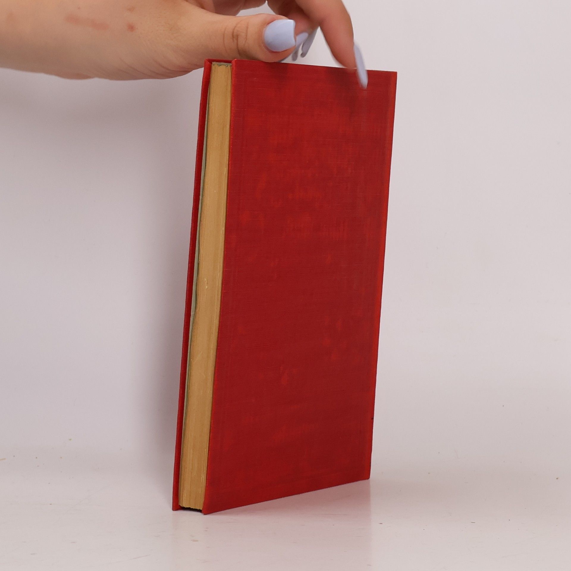 Richard Voß Neues italienisches Novellenbuch 2