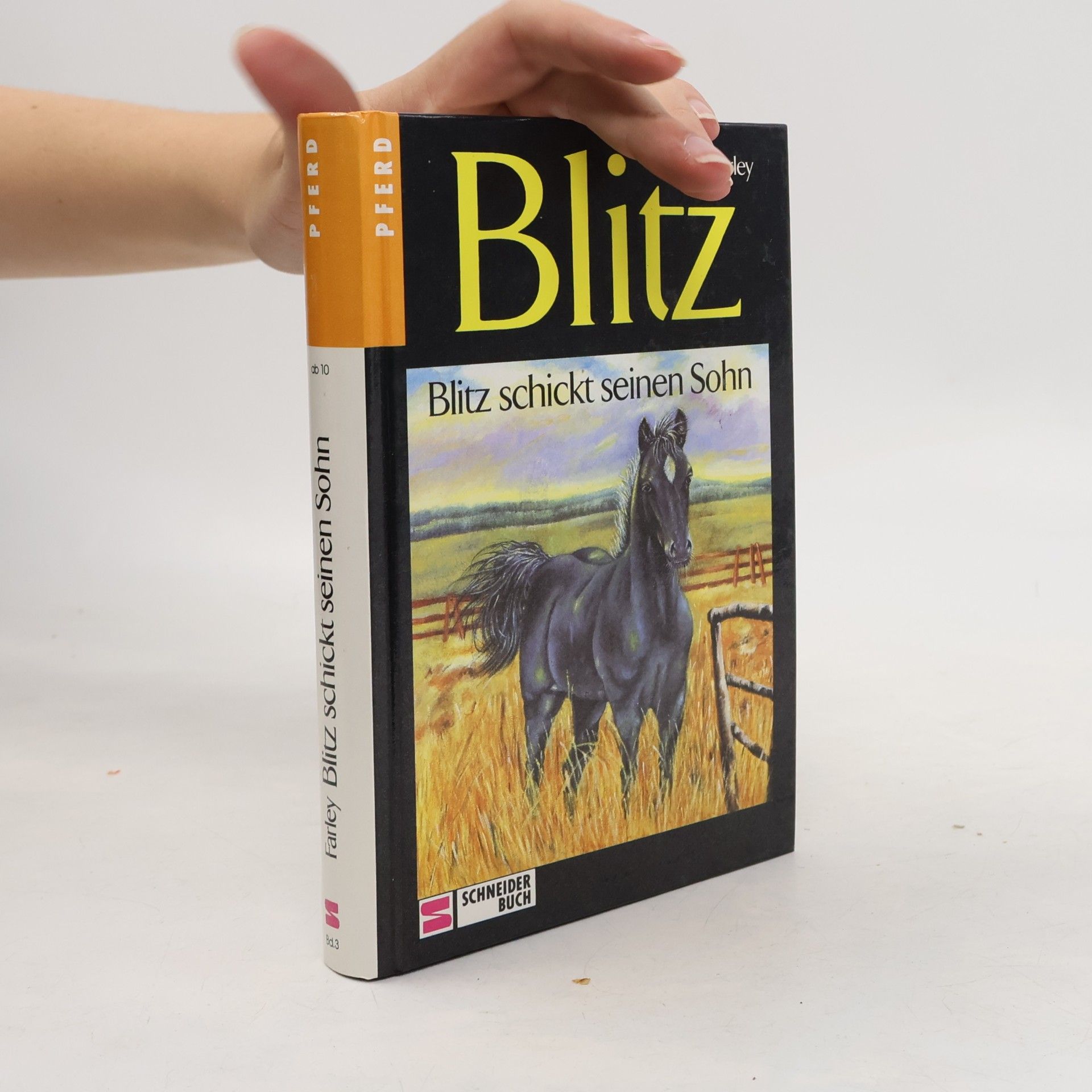 Walter Farley Blitz schickt seinen Sohn
