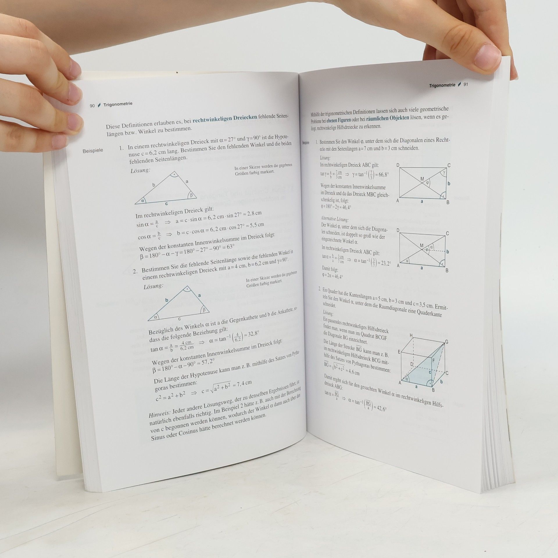 Eberhard Endres Matura-Training Mathematik. Bd.1