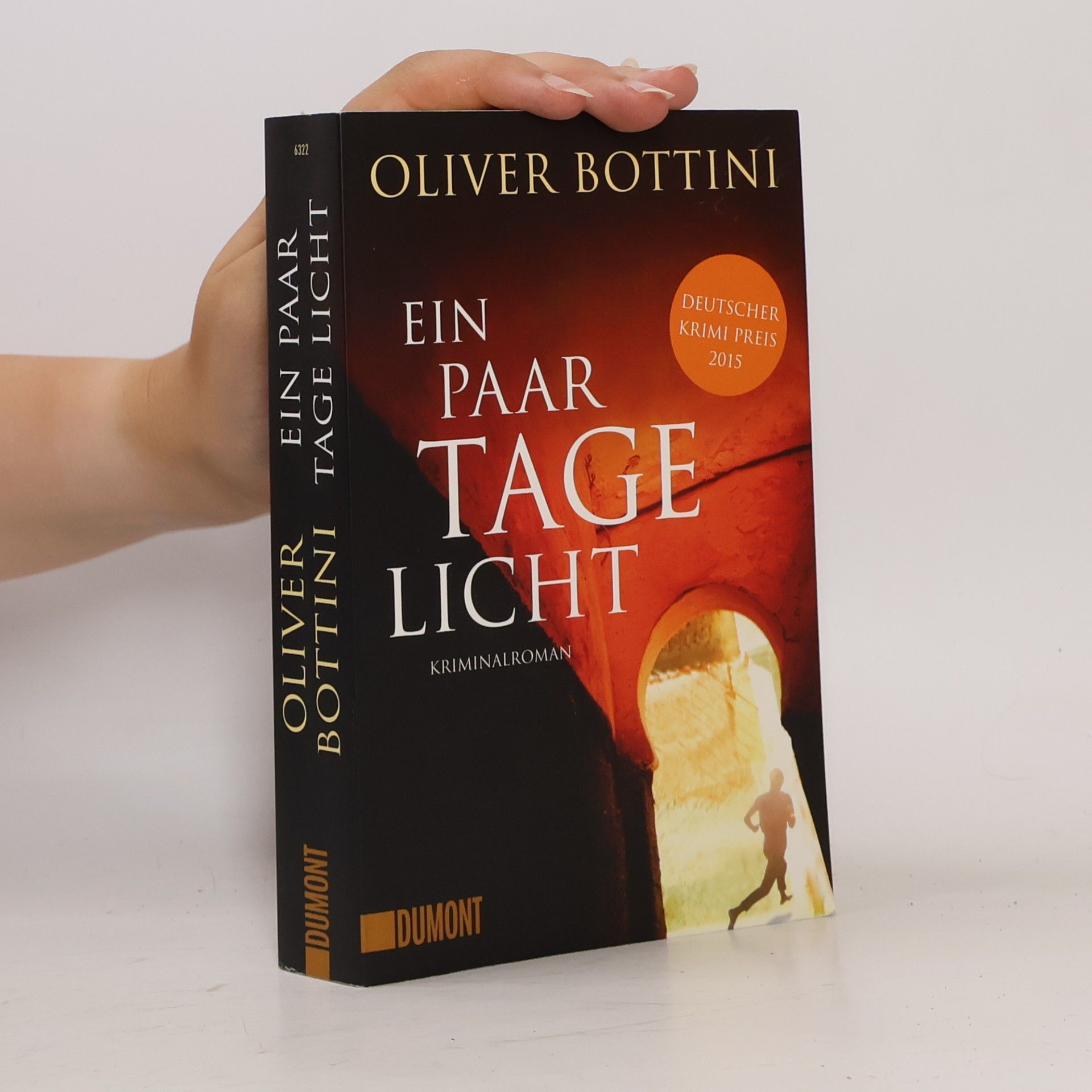 Oliver Bottini Ein paar Tage Licht