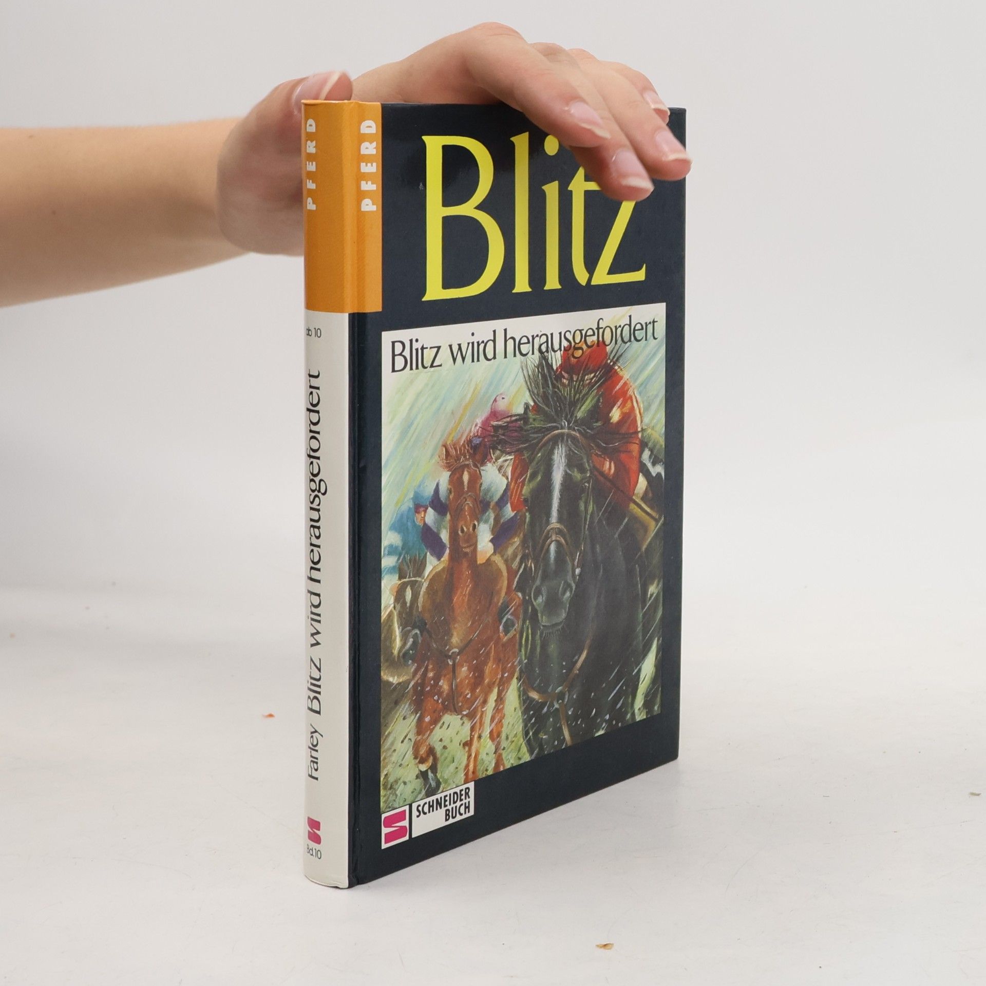 Walter Farley Blitz. Blitz wird herausgefordert