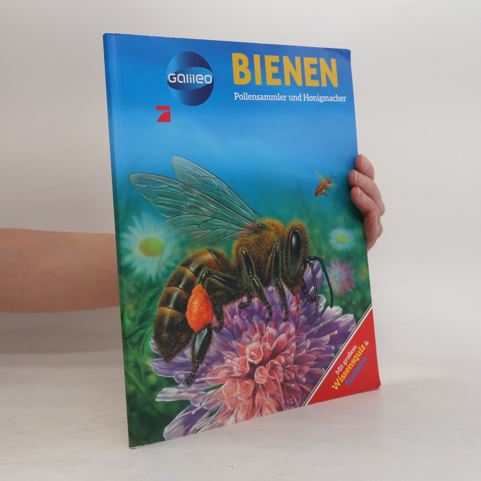 Sabine Boccador Bienen