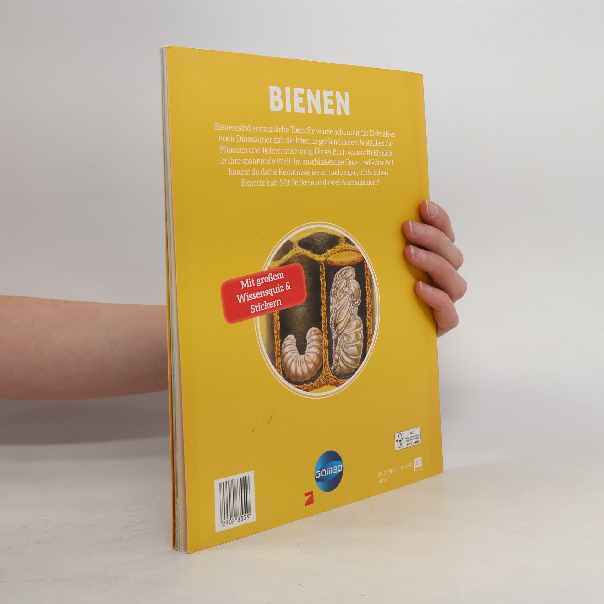 Sabine Boccador Bienen
