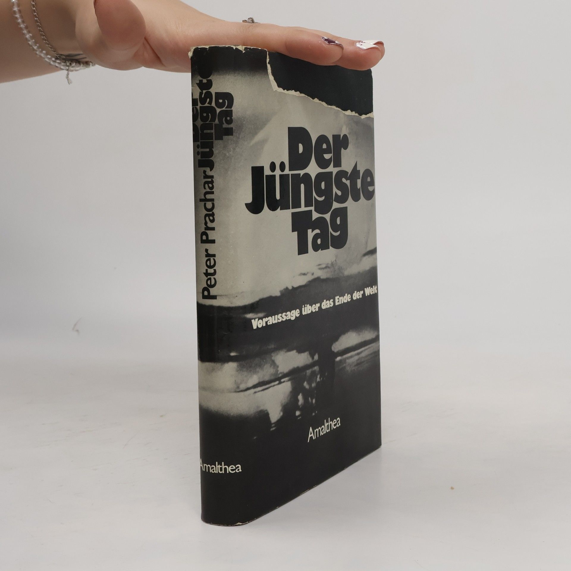 Peter Prachar Der Jüngste Tag