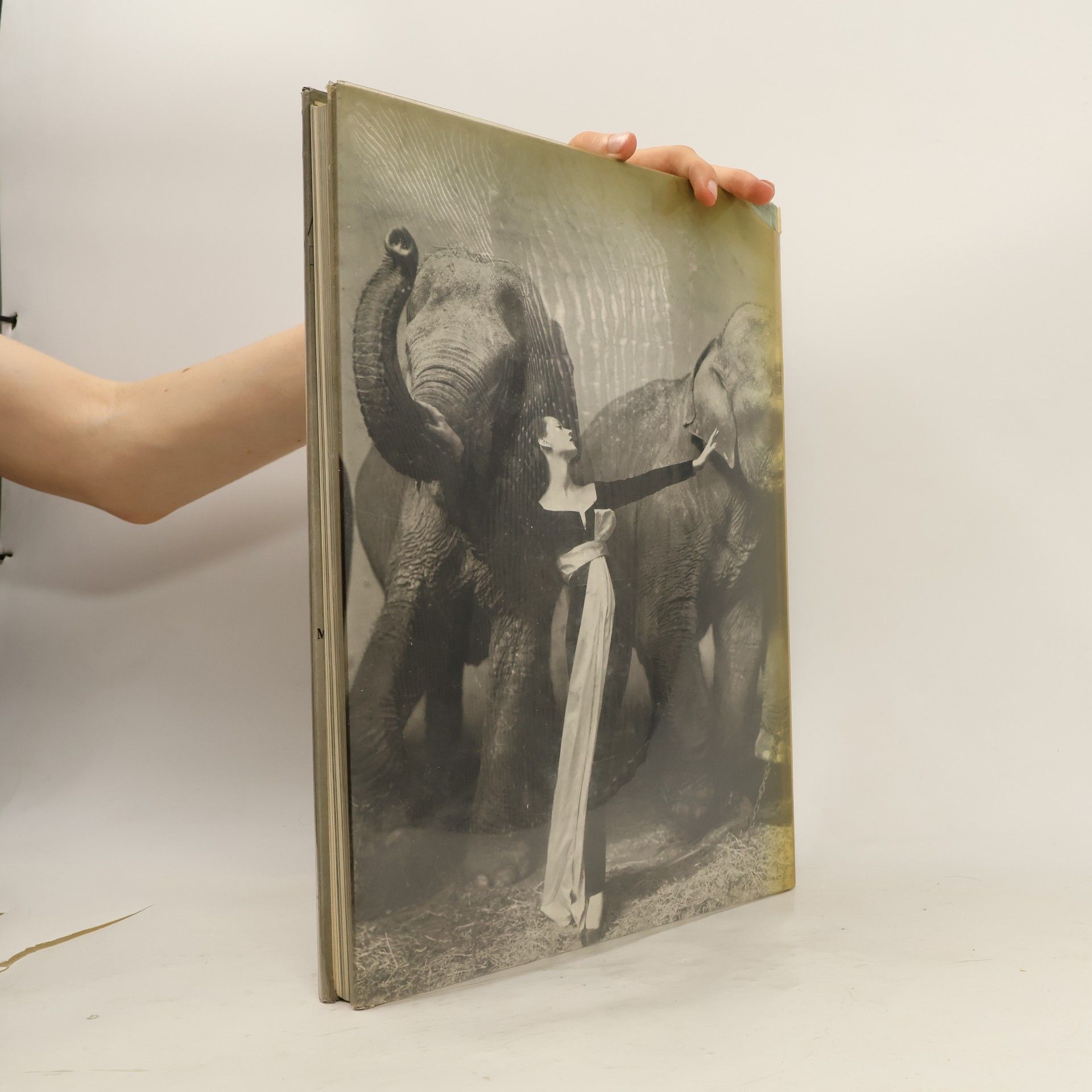 Richard Avedon Avedon: Photographs 1947–1977