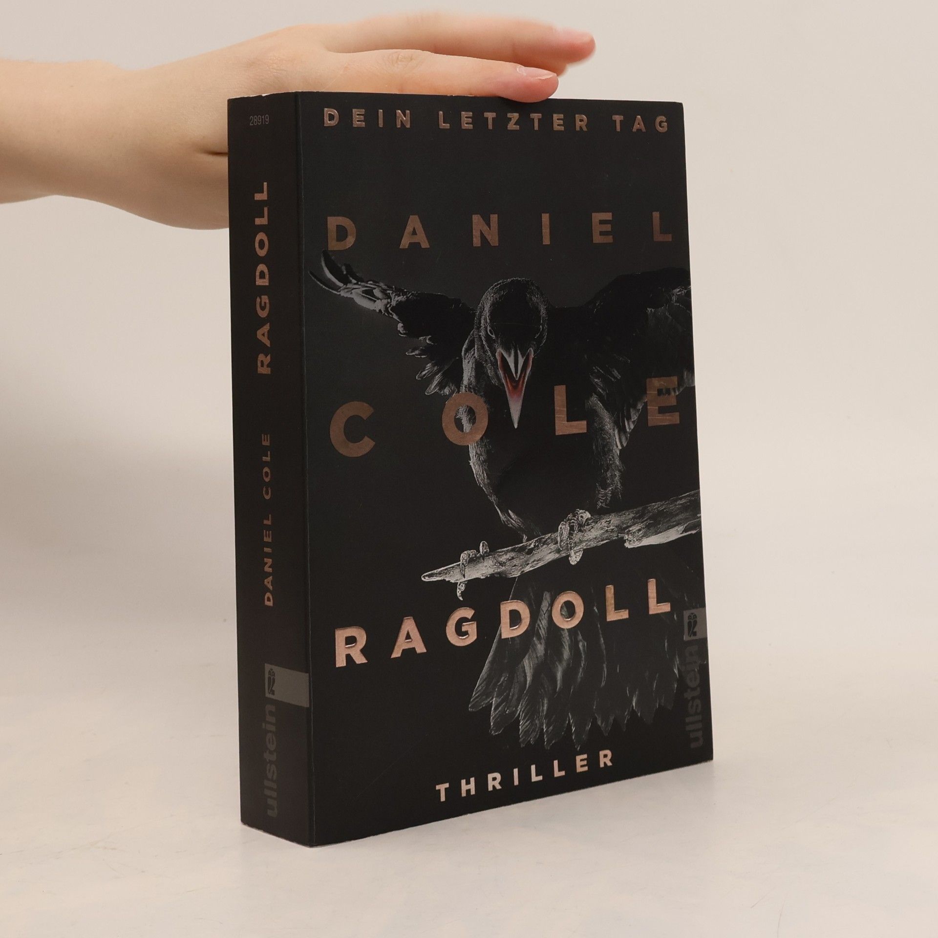 Daniel Cole Ragdoll
