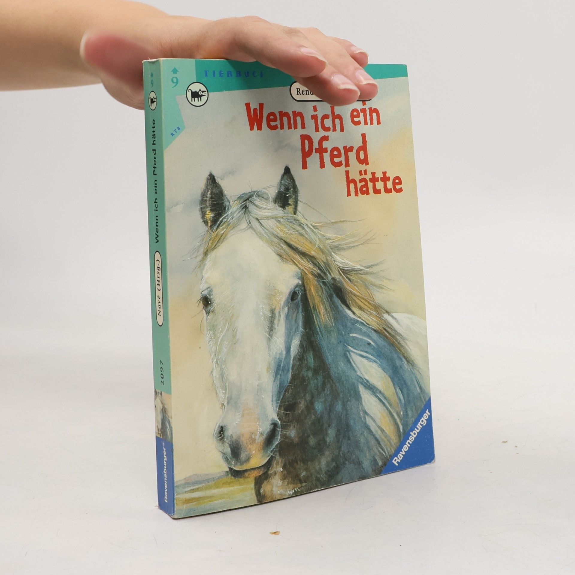 Renate Navé Wenn ich ein Pferd hätte