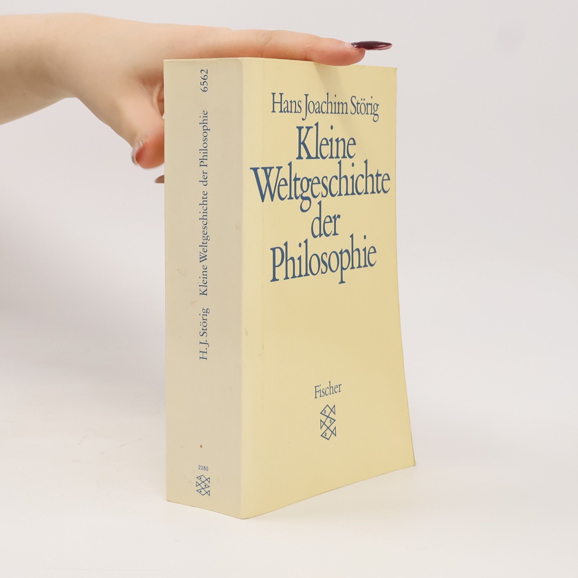 Hans Joachim Störig Kleine Weltgeschichte der Philosophie