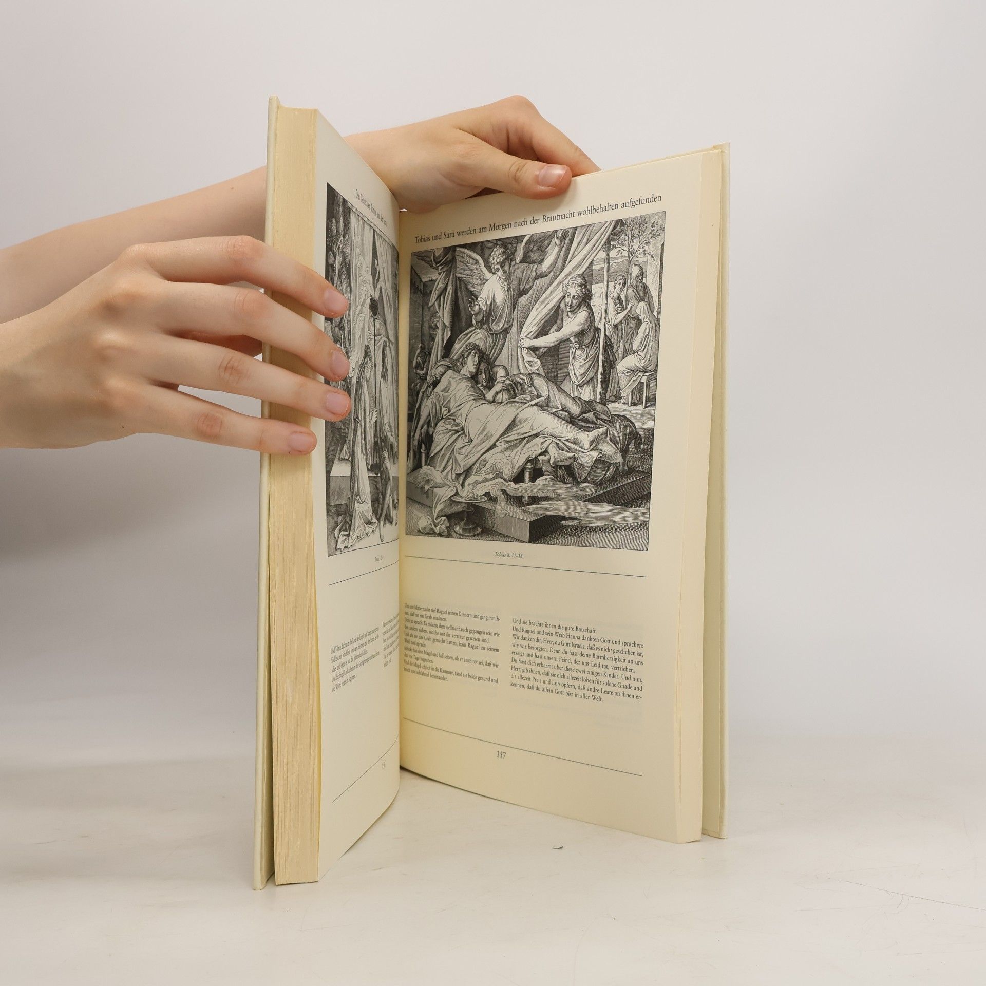 Julius Schnorr von Carolsfeld Die Bibel in Bildern