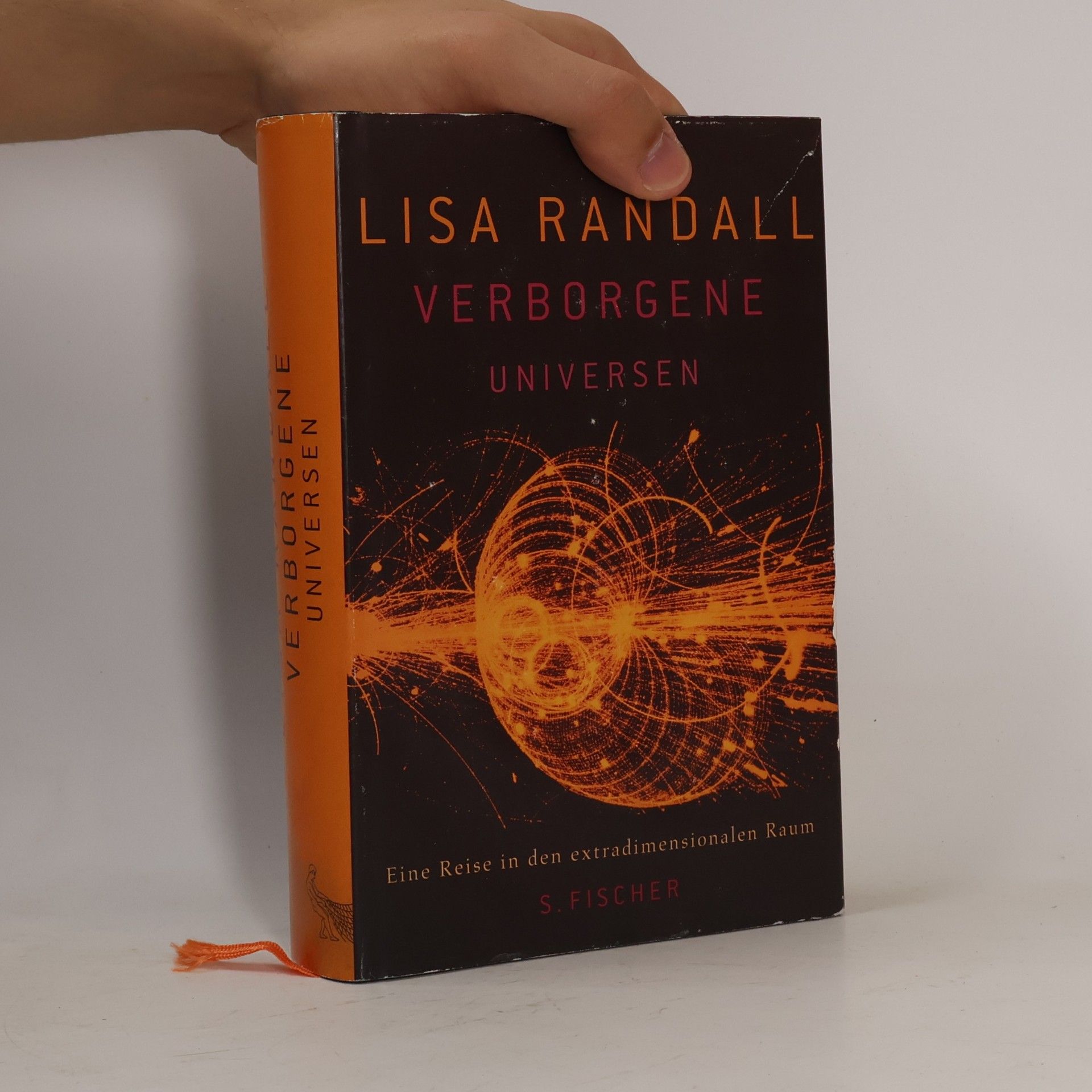 Lisa Randall Verborgene Universen