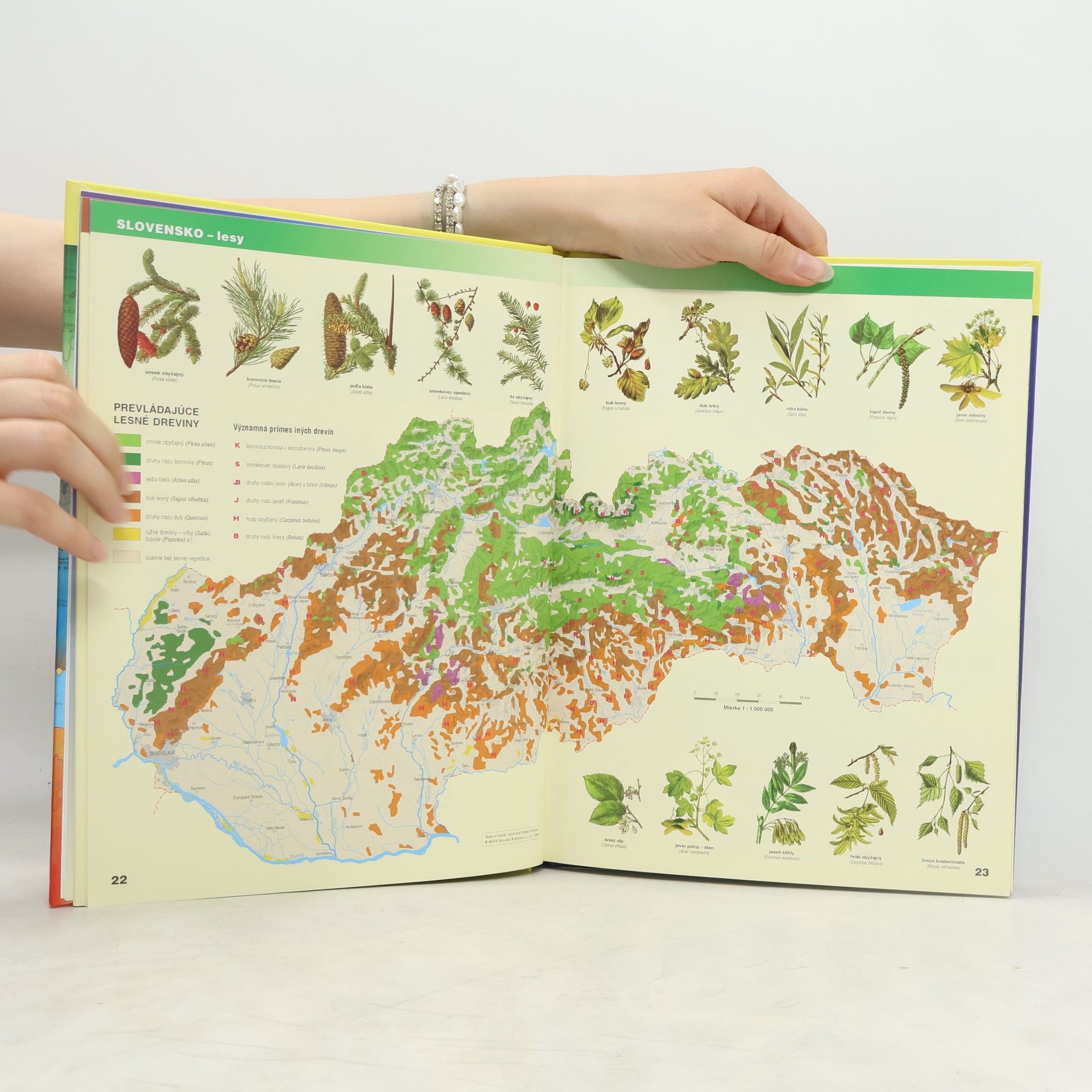 Róbert Čeman Zemepisný atlas Slovenská republika