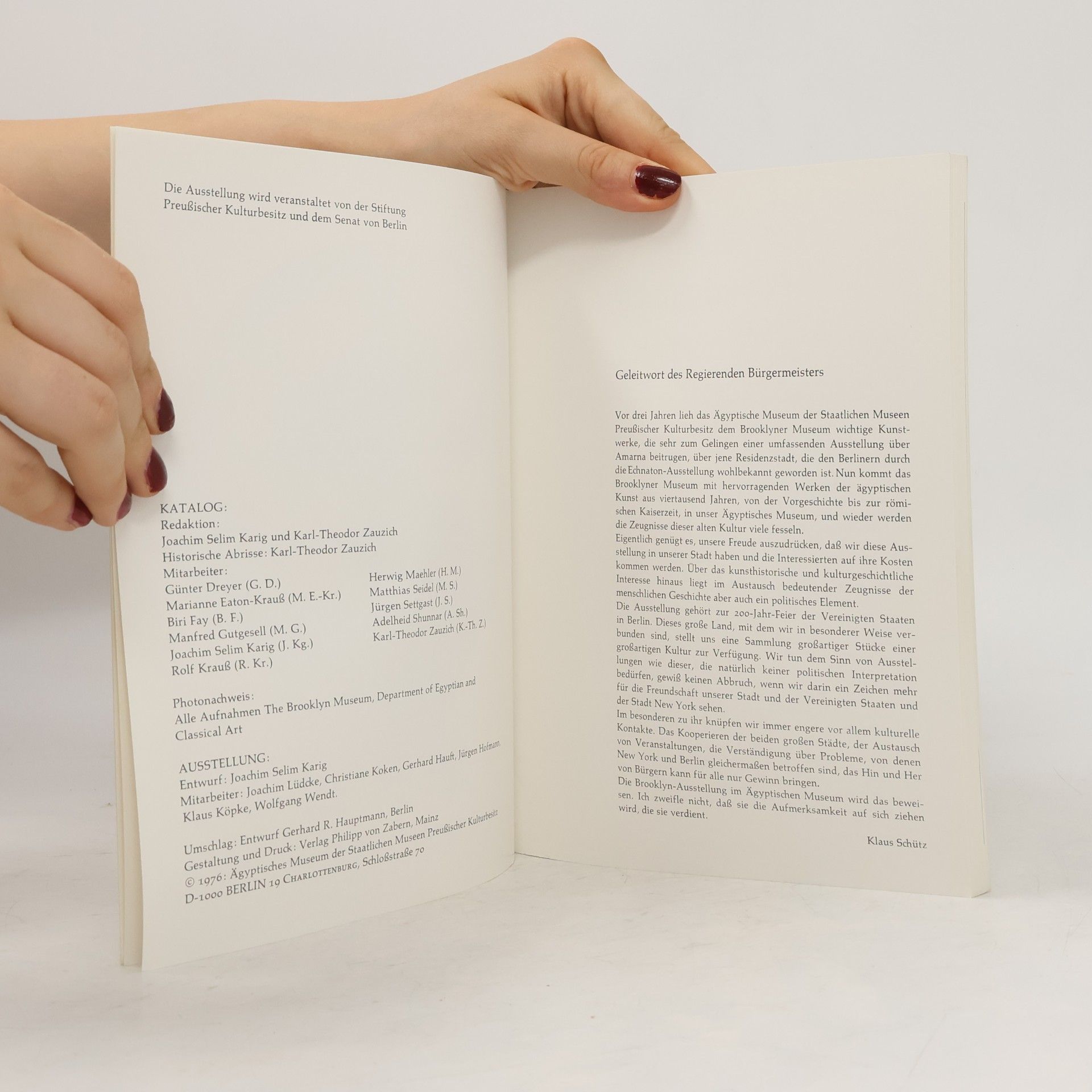 Autorenkollektiv Ägyptische Kunst aus dem Brooklyn Museum