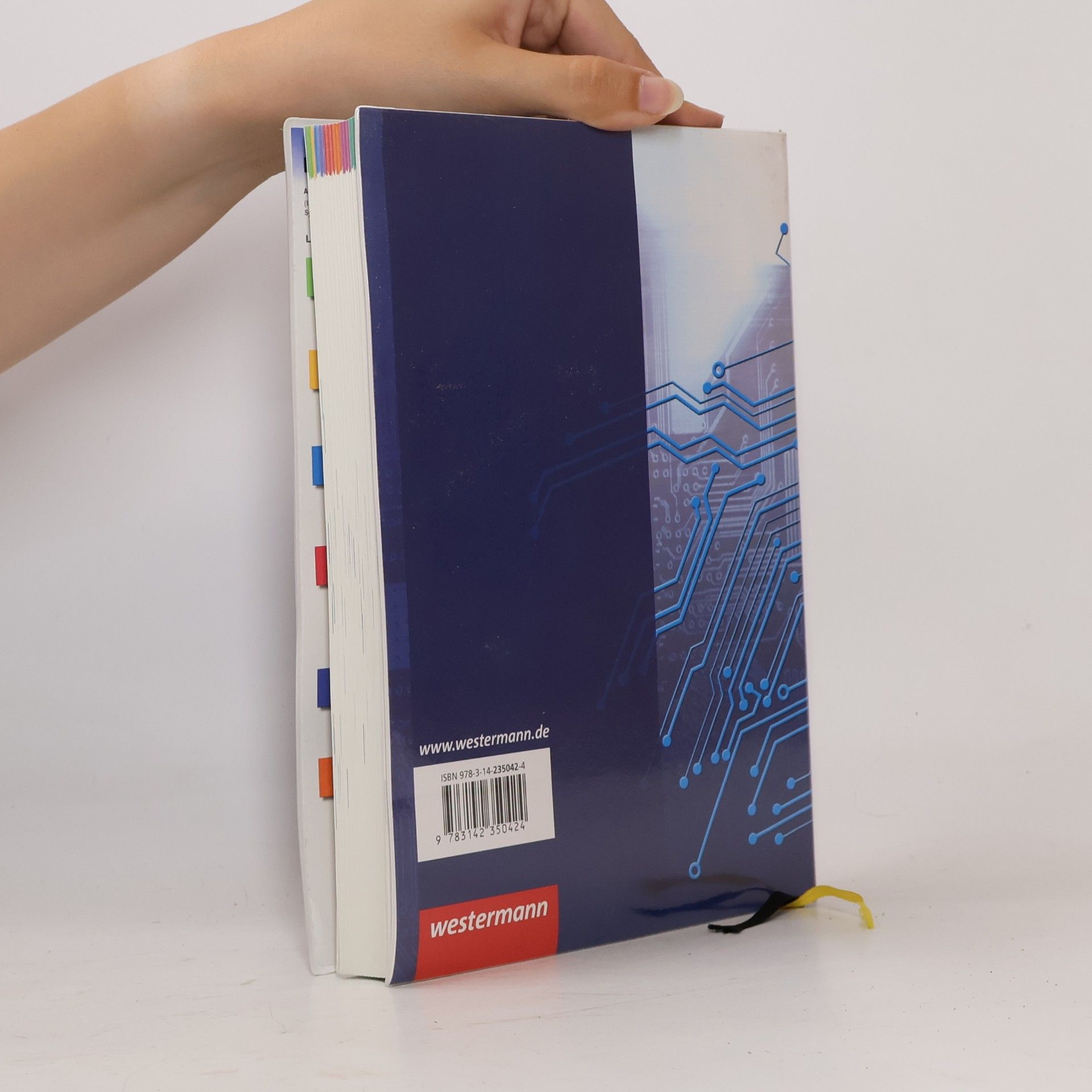 Klaus Richter IT-Handbuch IT-Systemelektroniker/-in, Fachinformatiker/-in