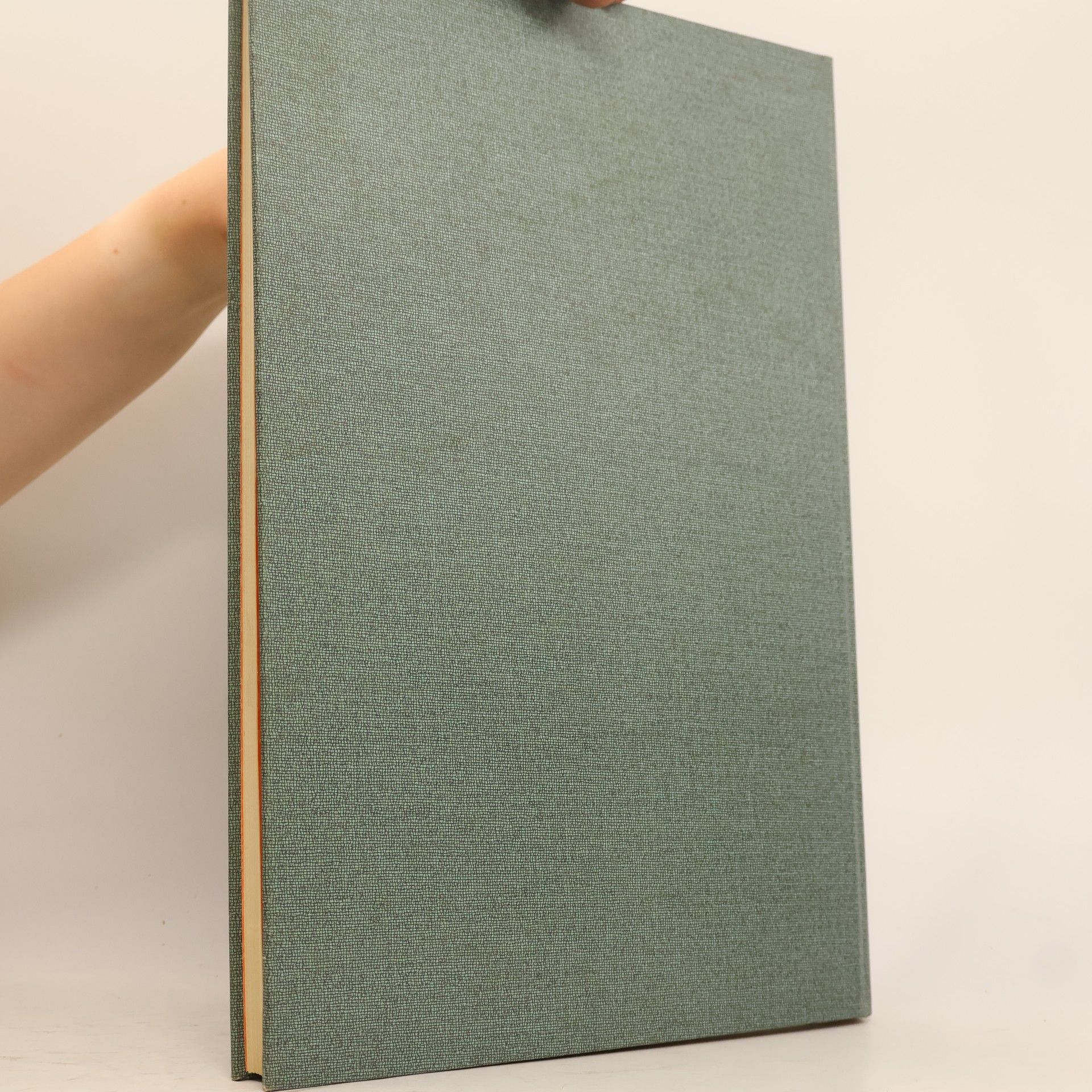 Brigitta Hochfelden Das Buch der Wäsche