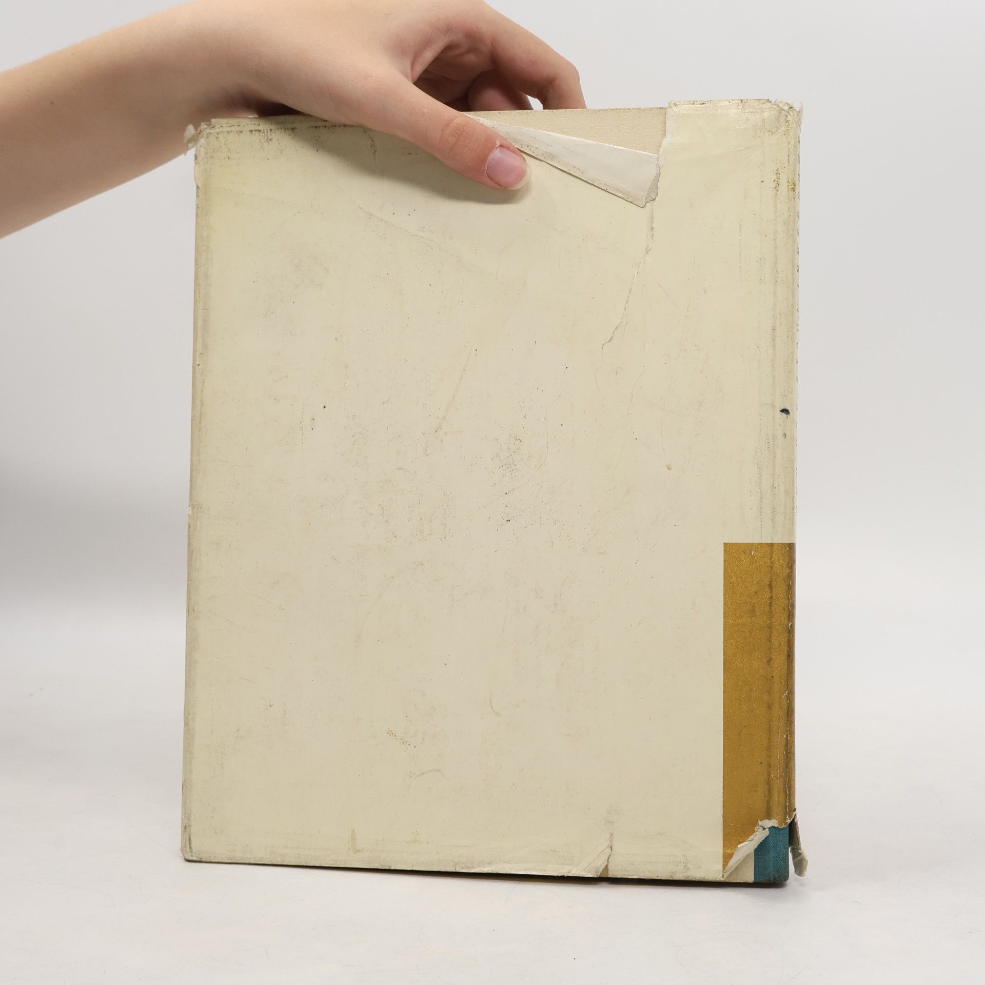Anton Demànega Das Buch der Stadt Innsbruck