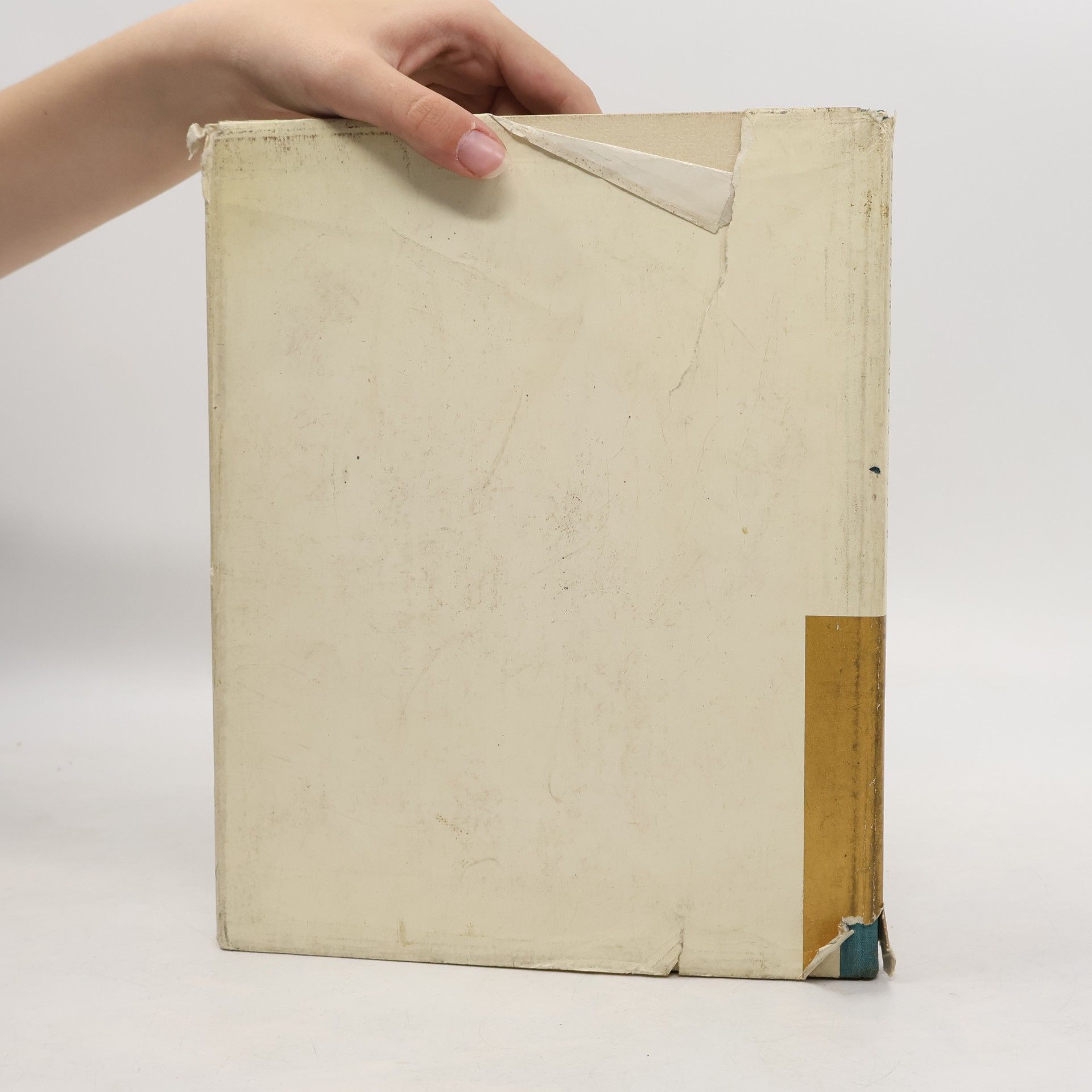 Anton Demànega Das Buch der Stadt Innsbruck