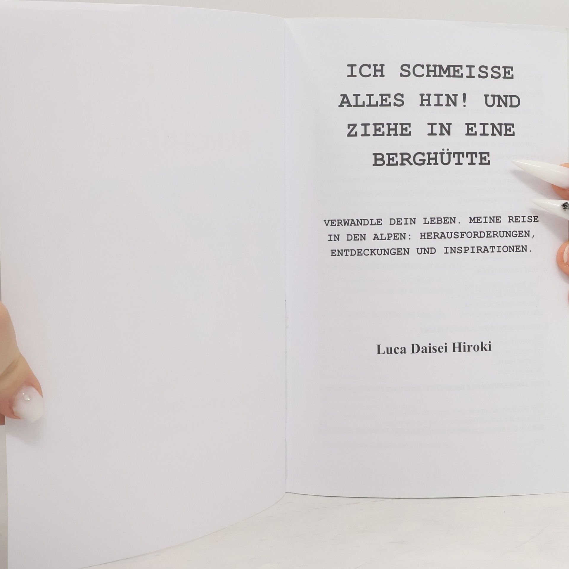 Luca Daisei Hiroki Ich schmeiße alles hin! Und ziehe in eine Berghütte